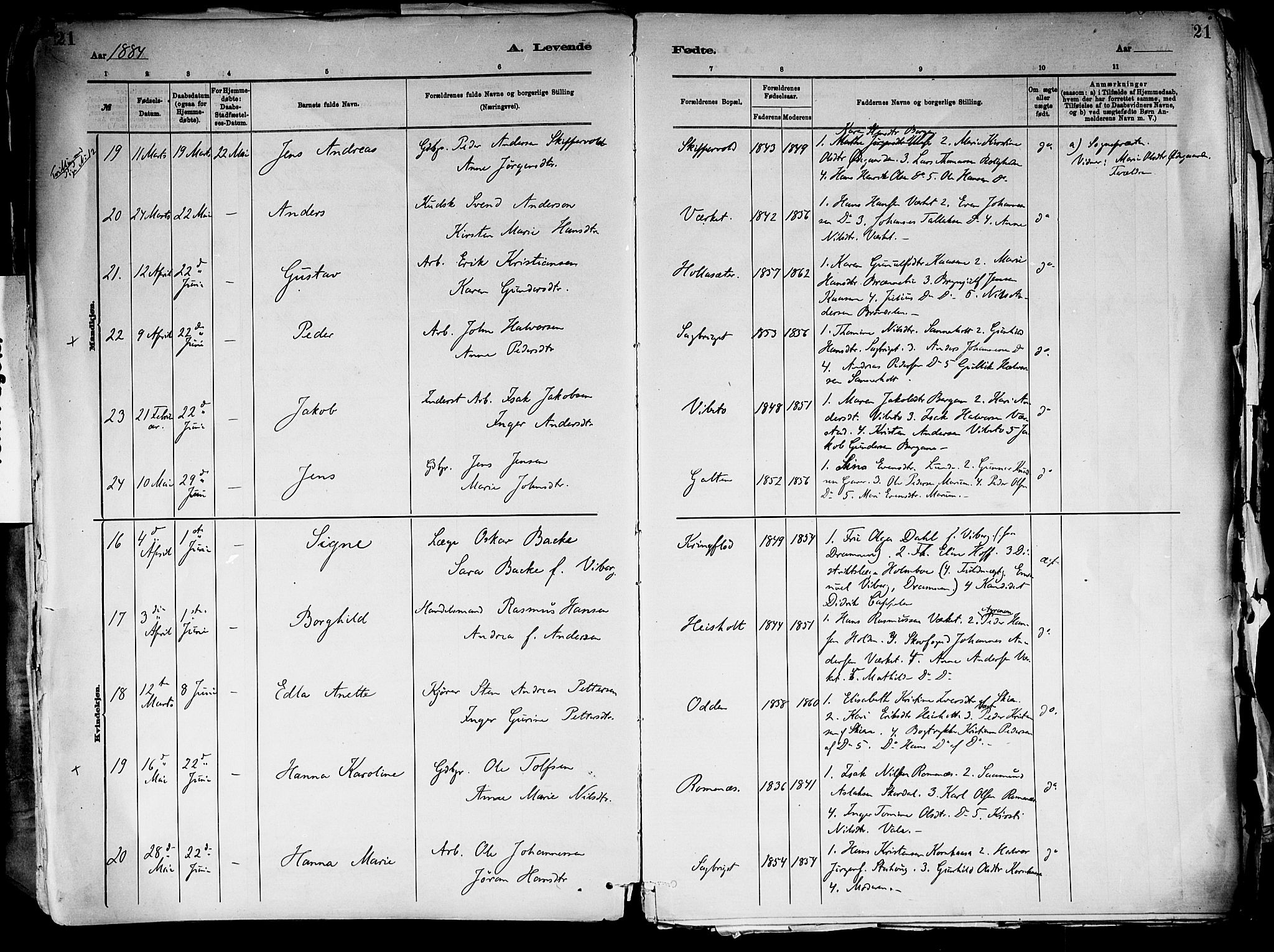 Holla kirkebøker, AV/SAKO-A-272/F/Fa/L0008: Parish register (official) no. 8, 1882-1897, p. 21