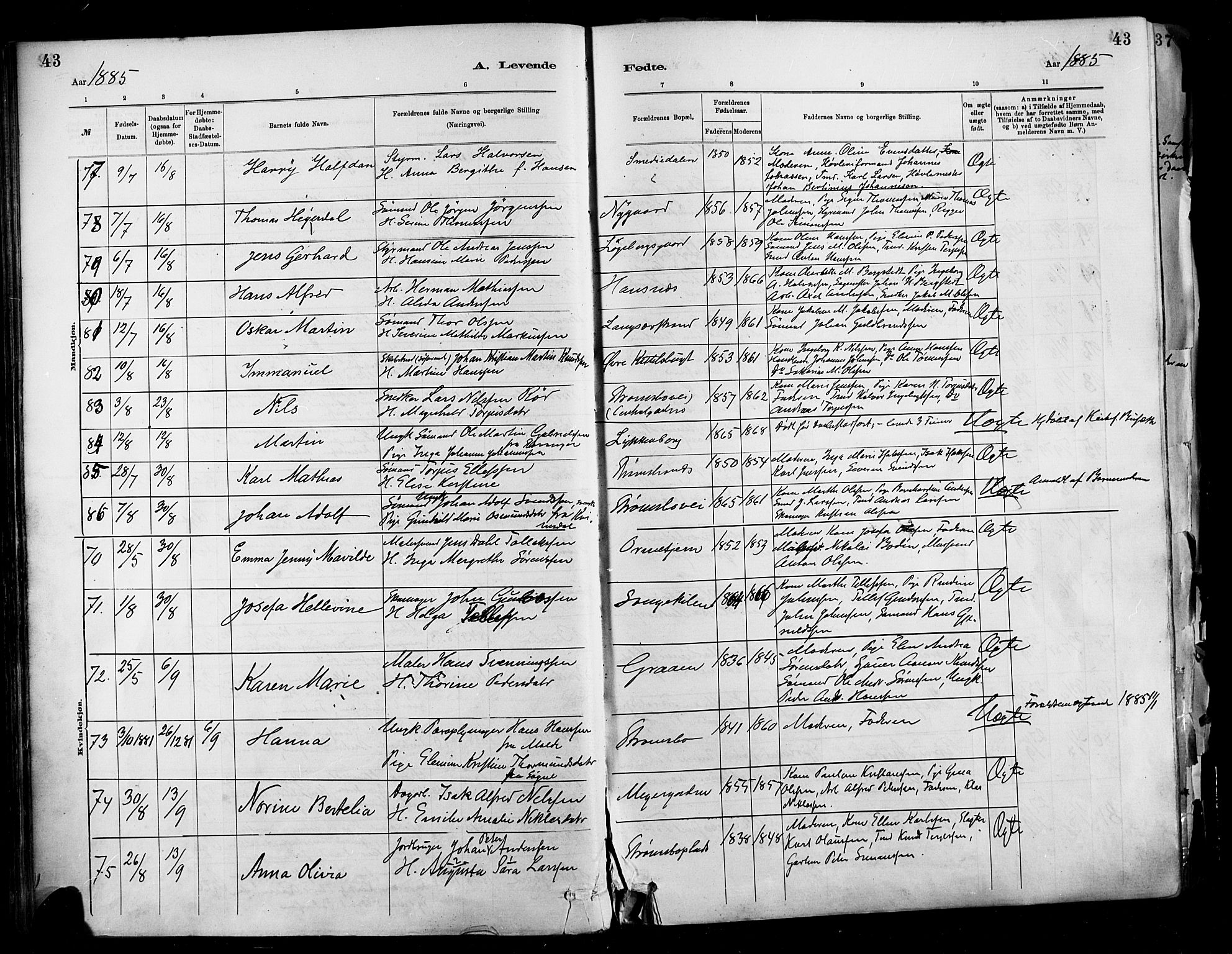 Barbu sokneprestkontor, AV/SAK-1111-0003/F/Fa/L0002: Parish register (official) no. A 2, 1883-1898, p. 43