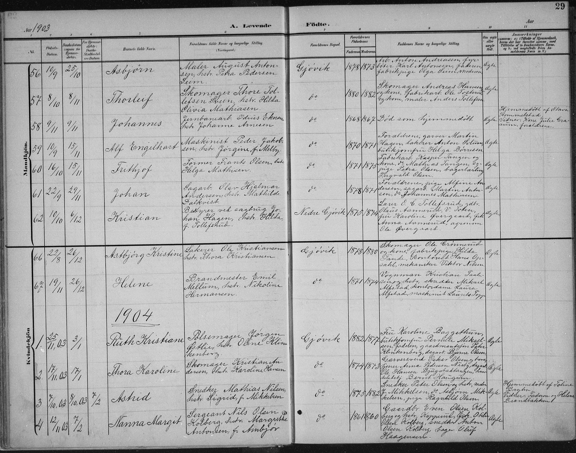 Vardal prestekontor, SAH/PREST-100/H/Ha/Haa/L0013: Parish register (official) no. 13, 1901-1911, p. 29