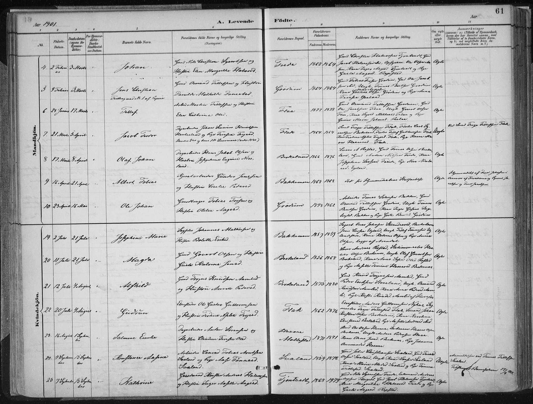 Birkenes sokneprestkontor, AV/SAK-1111-0004/F/Fa/L0005: Parish register (official) no. A 5, 1887-1907, p. 61