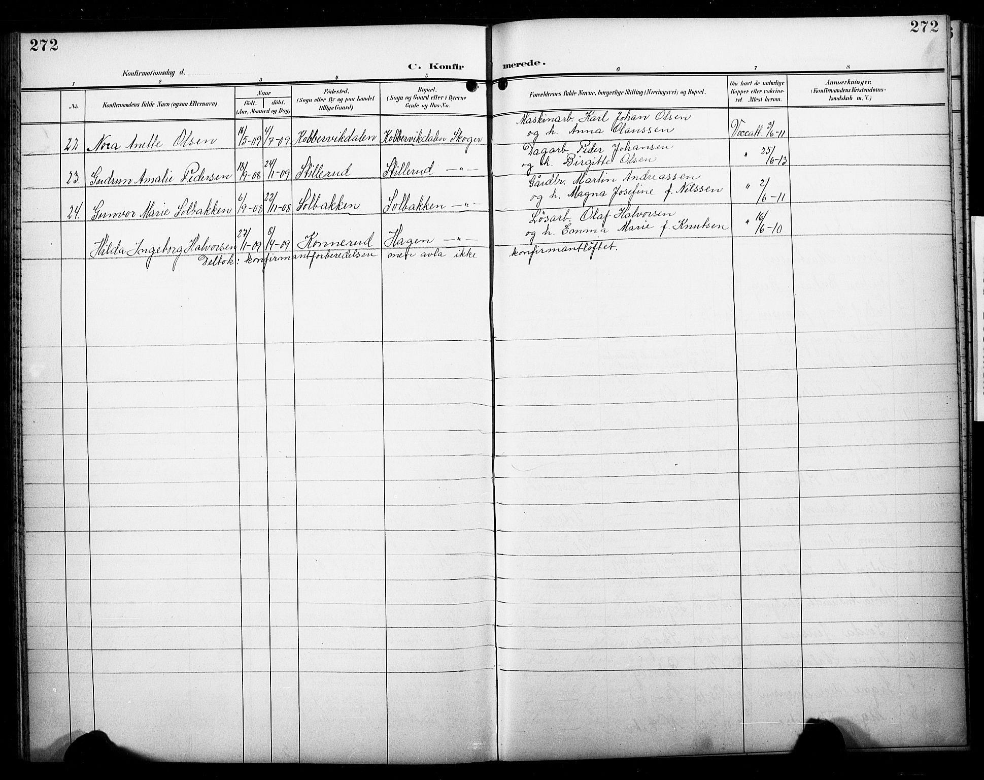 Skoger kirkebøker, SAKO/A-59/G/Ga/L0003: Parish register (copy) no. I 3, 1900-1927, p. 272