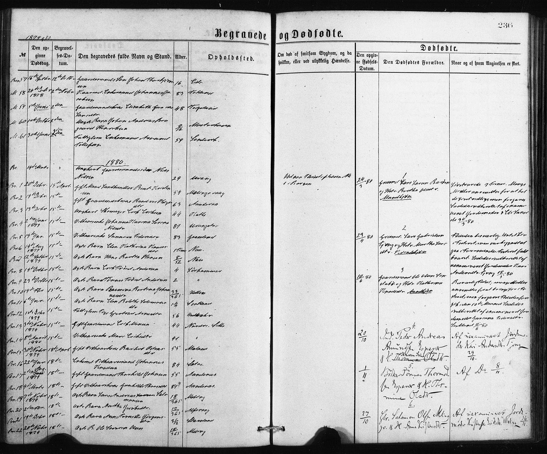 Finnås sokneprestembete, SAB/A-99925/H/Ha/Haa/Haaa/L0009: Parish register (official) no. A 9, 1873-1881, p. 236