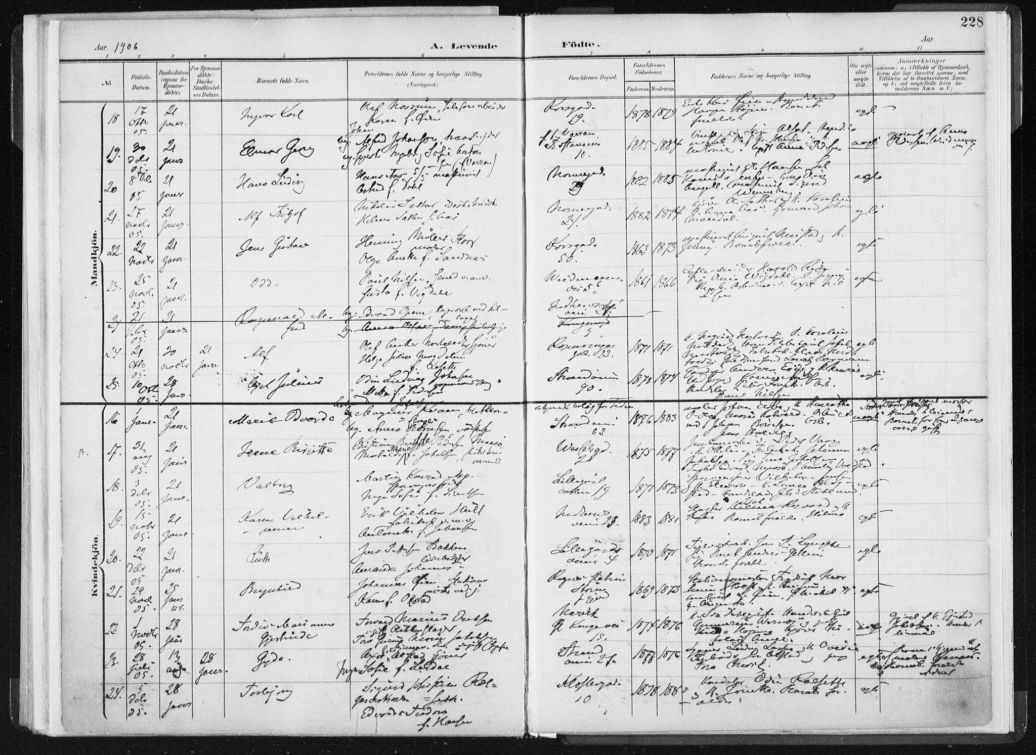 Ministerialprotokoller, klokkerbøker og fødselsregistre - Sør-Trøndelag, AV/SAT-A-1456/604/L0199: Parish register (official) no. 604A20I, 1901-1906, p. 228