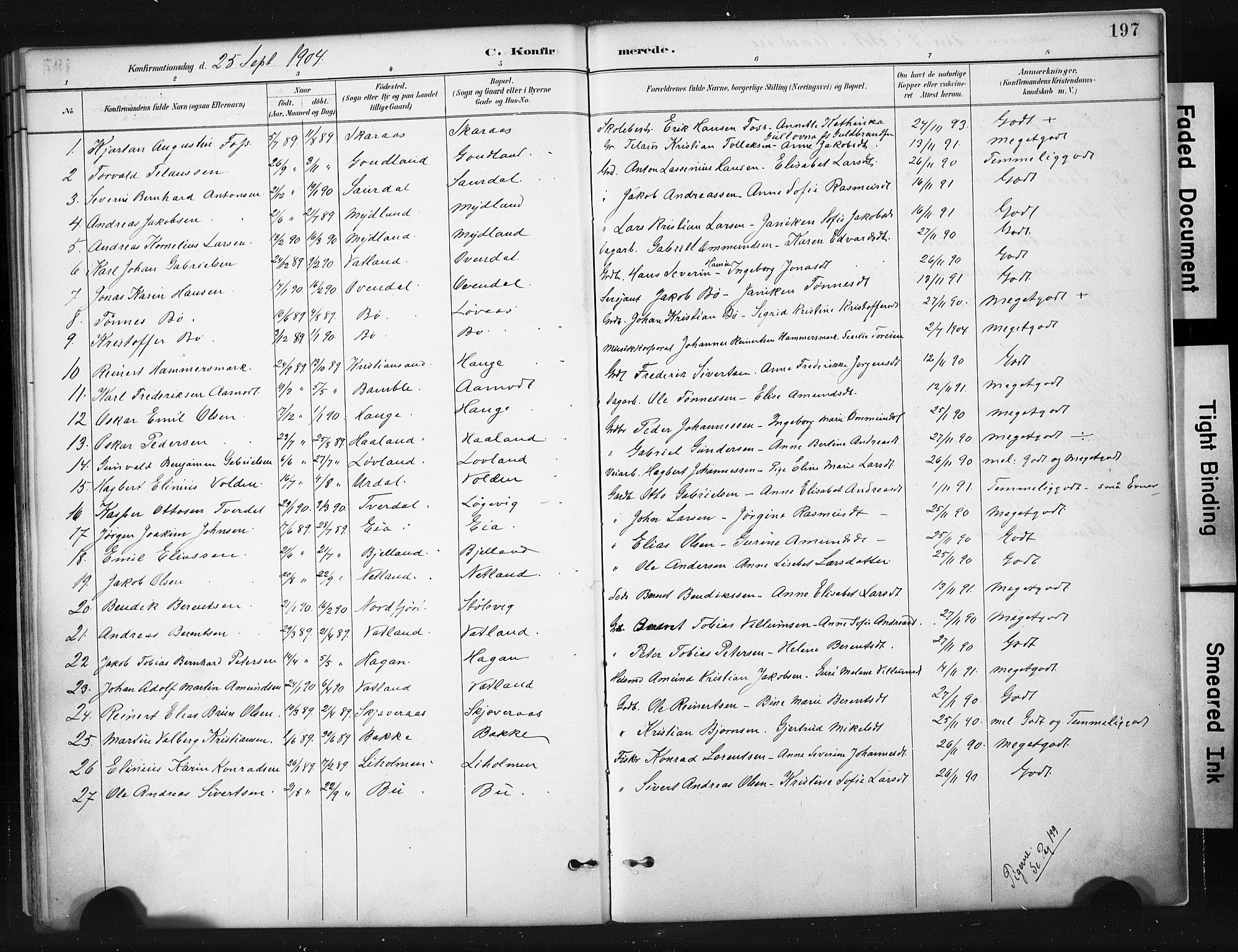 Sokndal sokneprestkontor, SAST/A-101808: Parish register (official) no. A 11.1, 1887-1905, p. 197