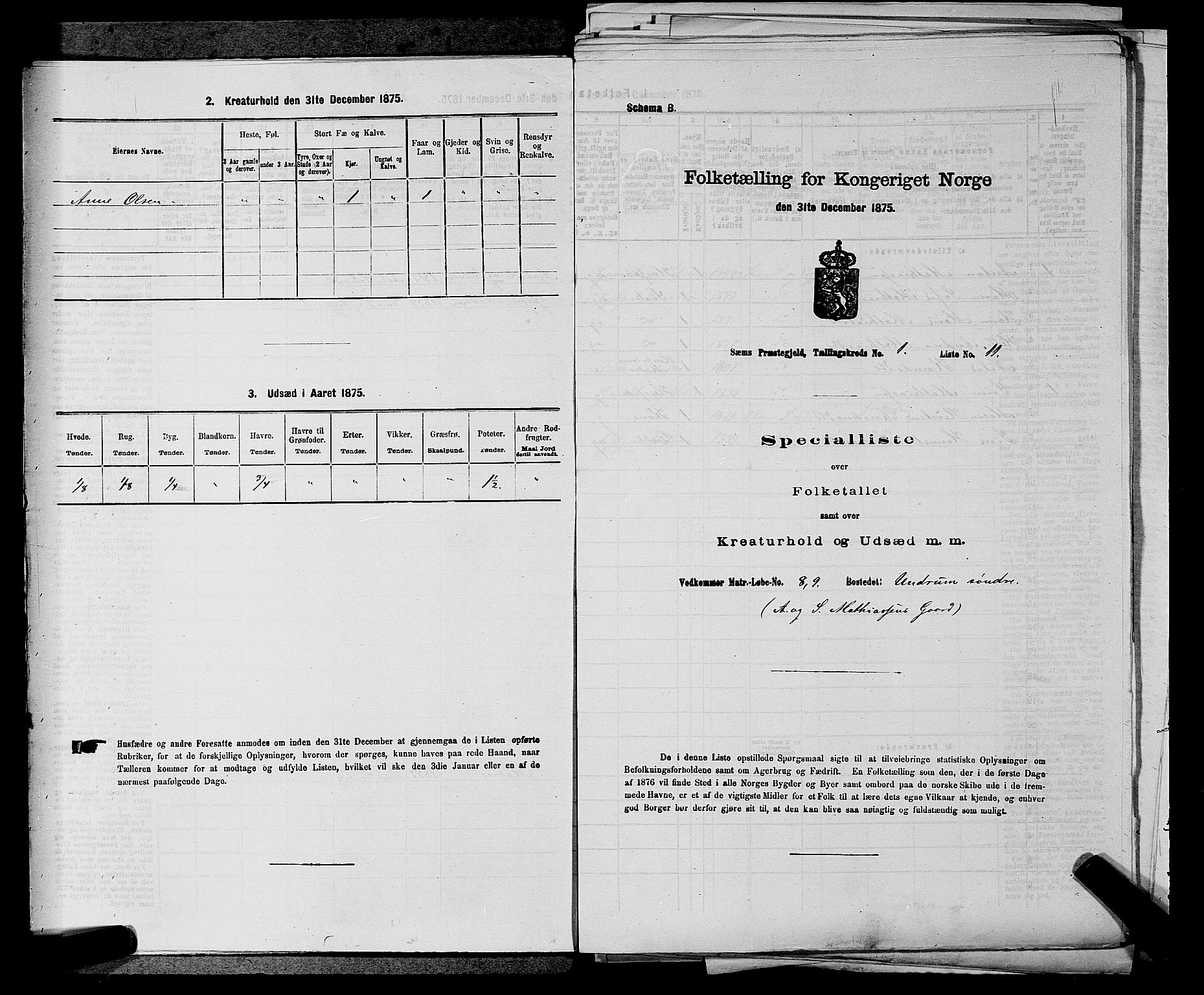 SAKO, 1875 census for 0721P Sem, 1875, p. 99