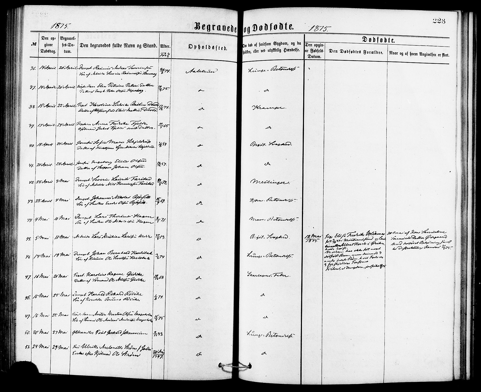 Ministerialprotokoller, klokkerbøker og fødselsregistre - Møre og Romsdal, AV/SAT-A-1454/529/L0453: Parish register (official) no. 529A03, 1872-1877, p. 223