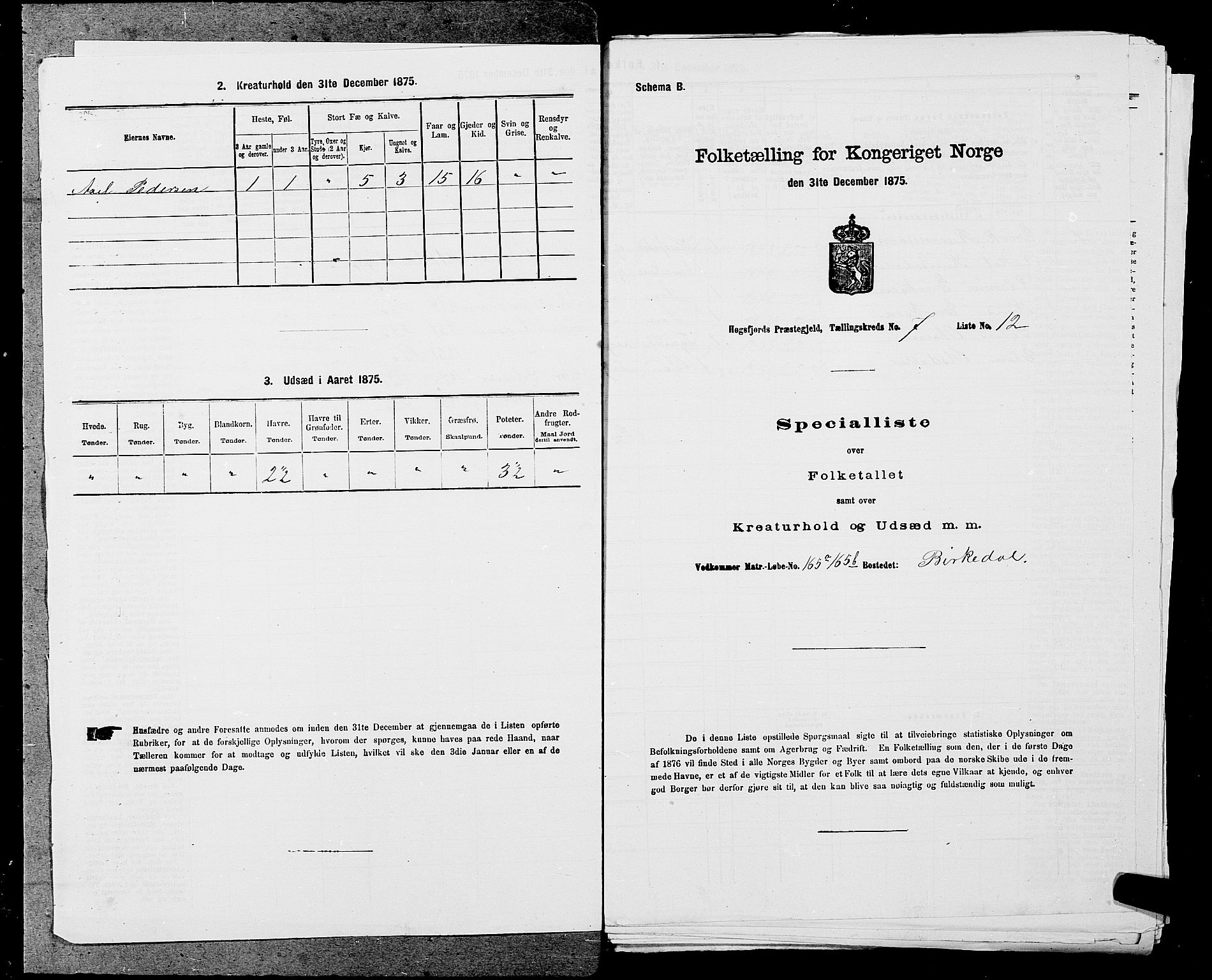 SAST, 1875 census for 1128P Høgsfjord, 1875, p. 620