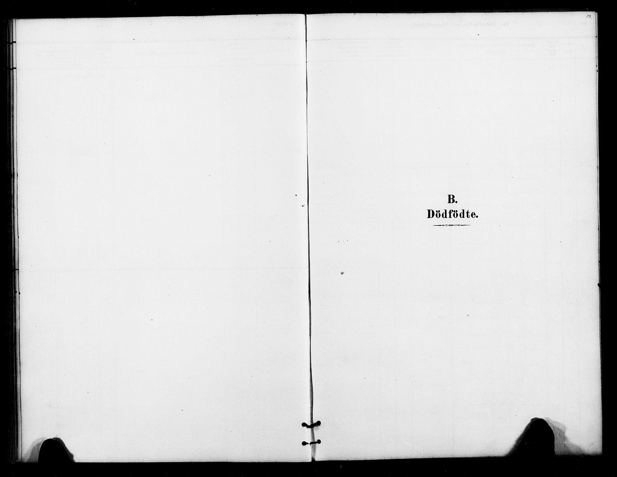 Lenvik sokneprestembete, AV/SATØ-S-1310/H/Ha/Haa/L0012kirke: Parish register (official) no. 12, 1880-1895, p. 73