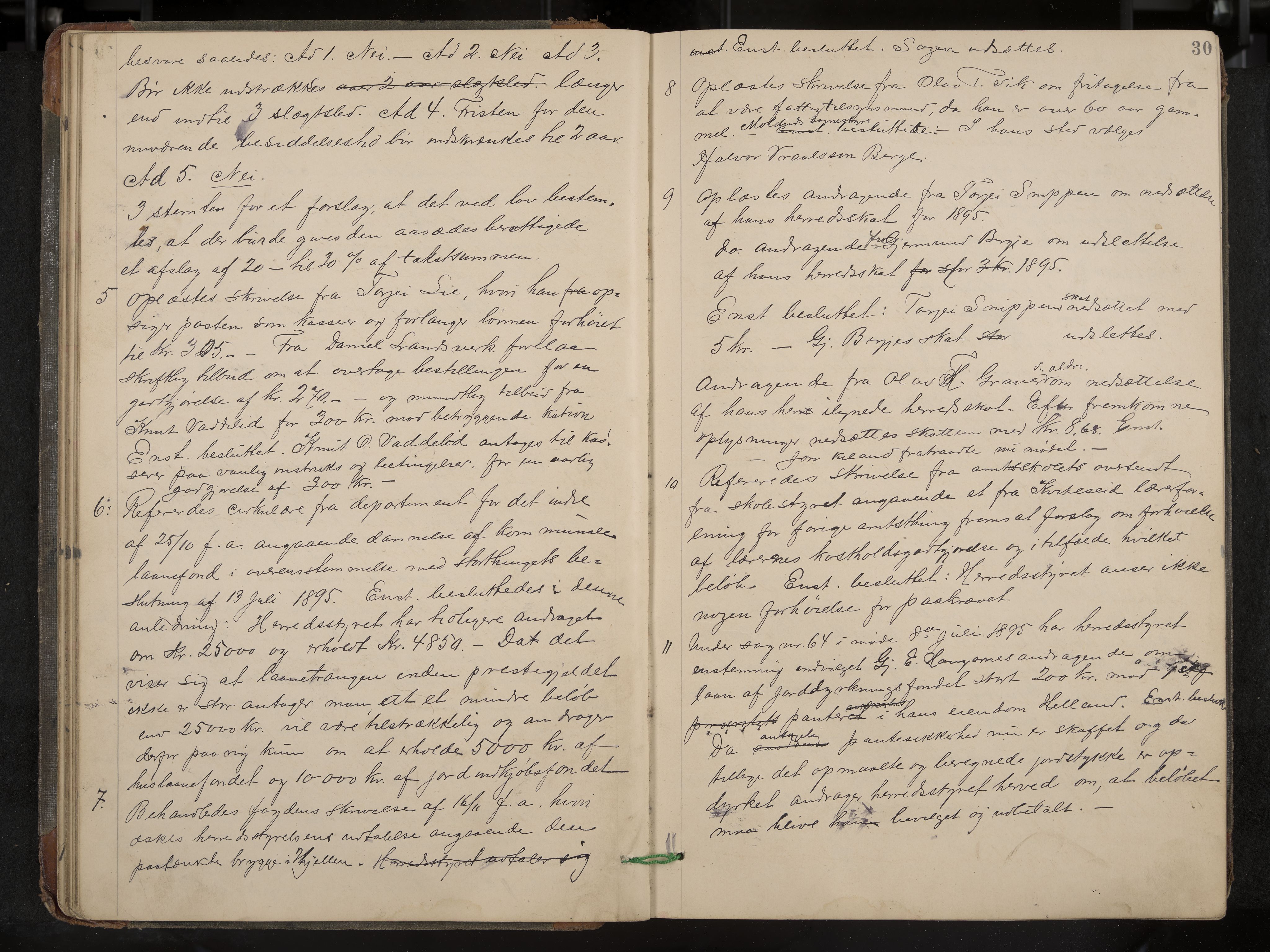 Fyresdal formannskap og sentraladministrasjon, IKAK/0831021-1/Aa/L0003: Møtebok, 1894-1903, p. 30