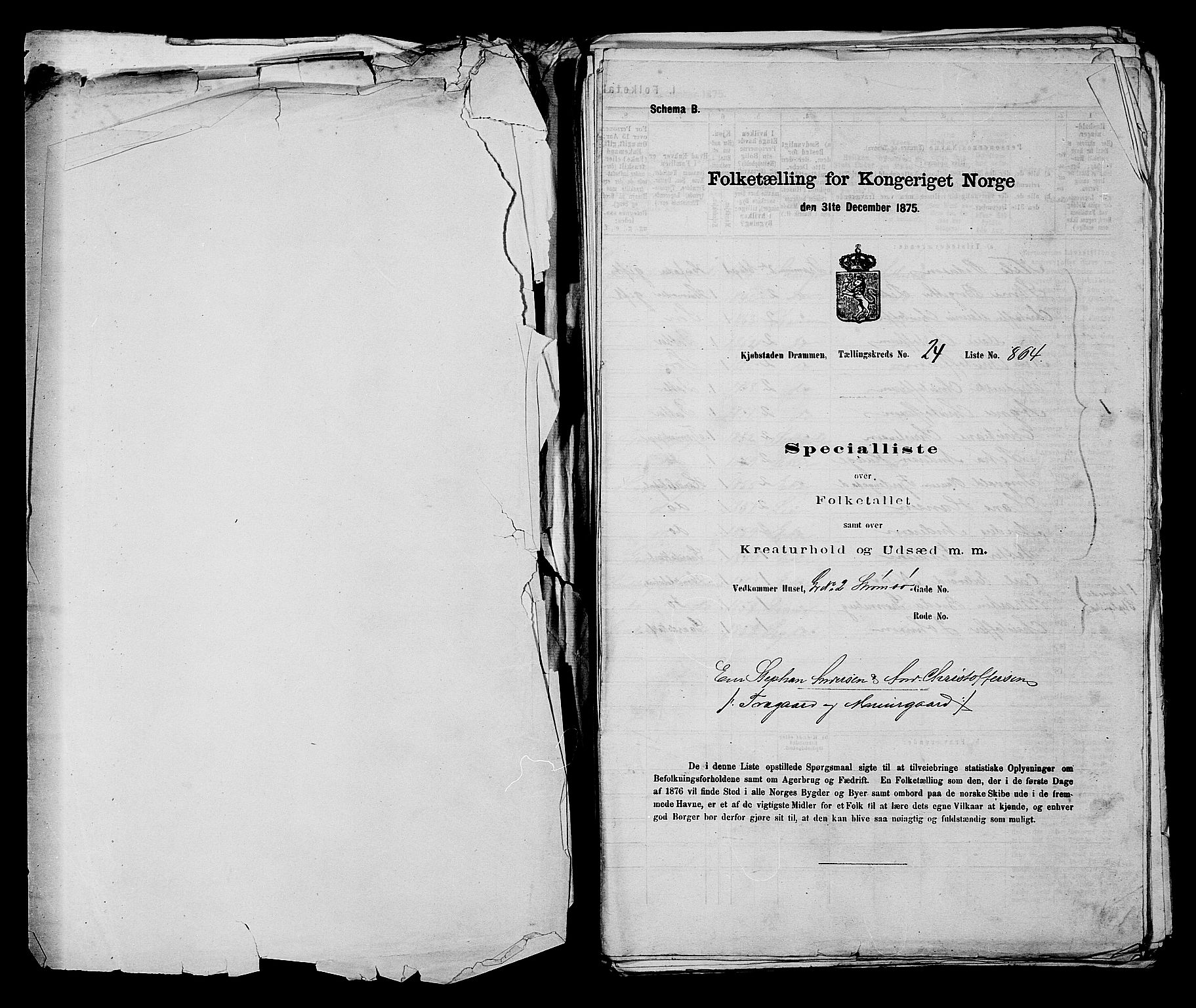 SAKO, 1875 census for 0602 Drammen, 1875, p. 2373