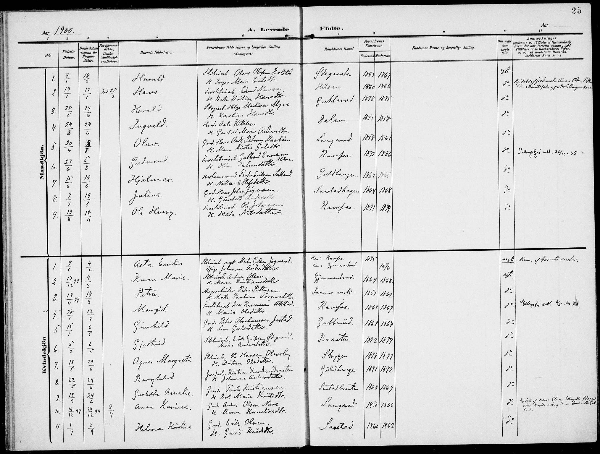 Modum kirkebøker, AV/SAKO-A-234/F/Fa/L0019: Parish register (official) no. 19, 1890-1914, p. 25