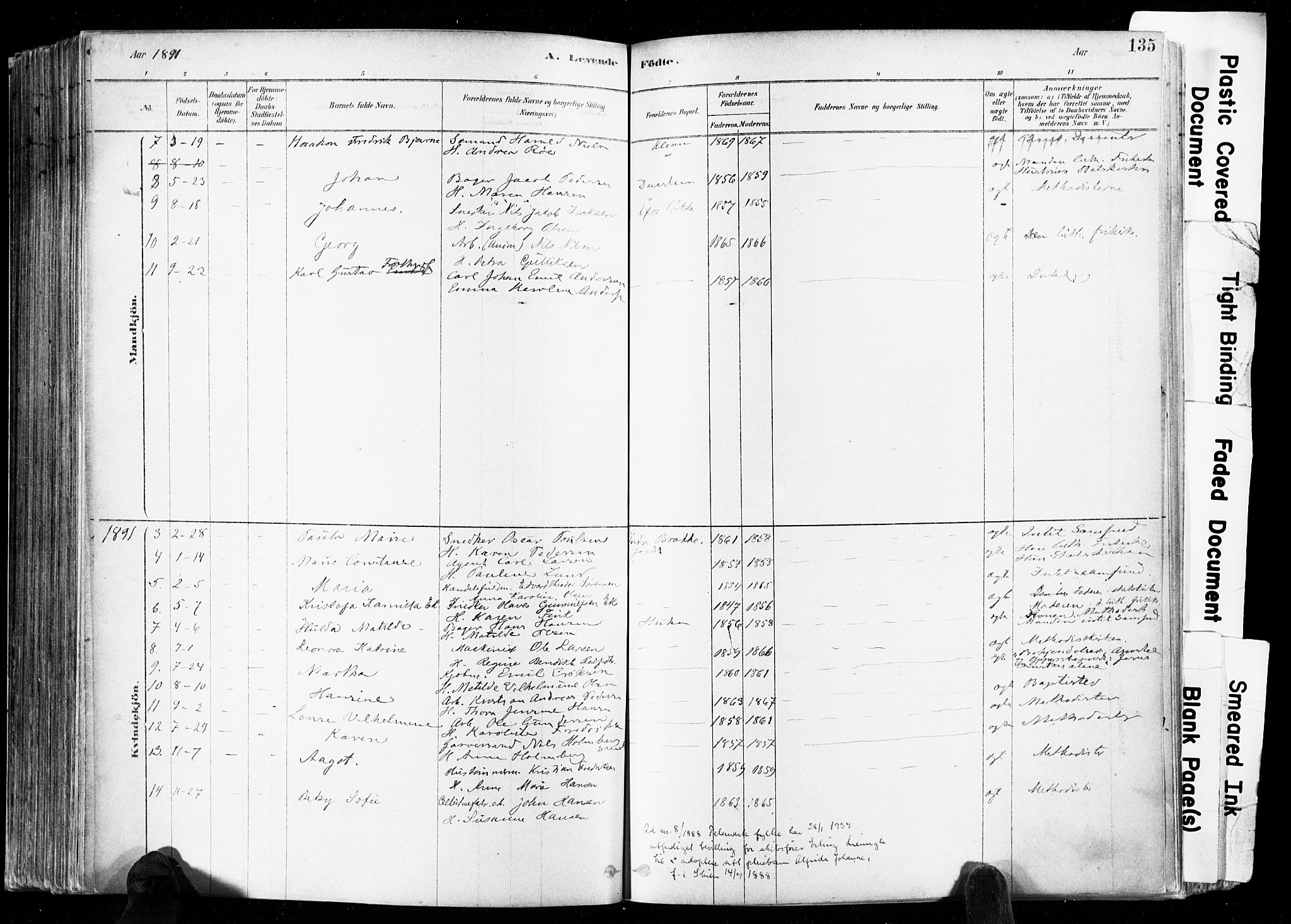 Skien kirkebøker, SAKO/A-302/F/Fa/L0009: Parish register (official) no. 9, 1878-1890, p. 135
