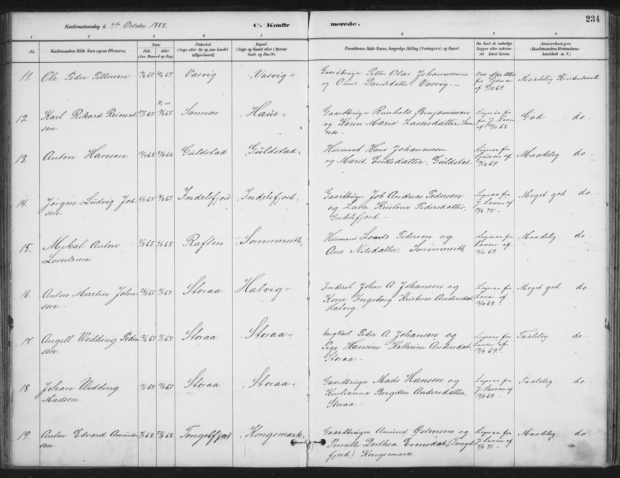 Ministerialprotokoller, klokkerbøker og fødselsregistre - Nordland, AV/SAT-A-1459/888/L1244: Parish register (official) no. 888A10, 1880-1890, p. 234