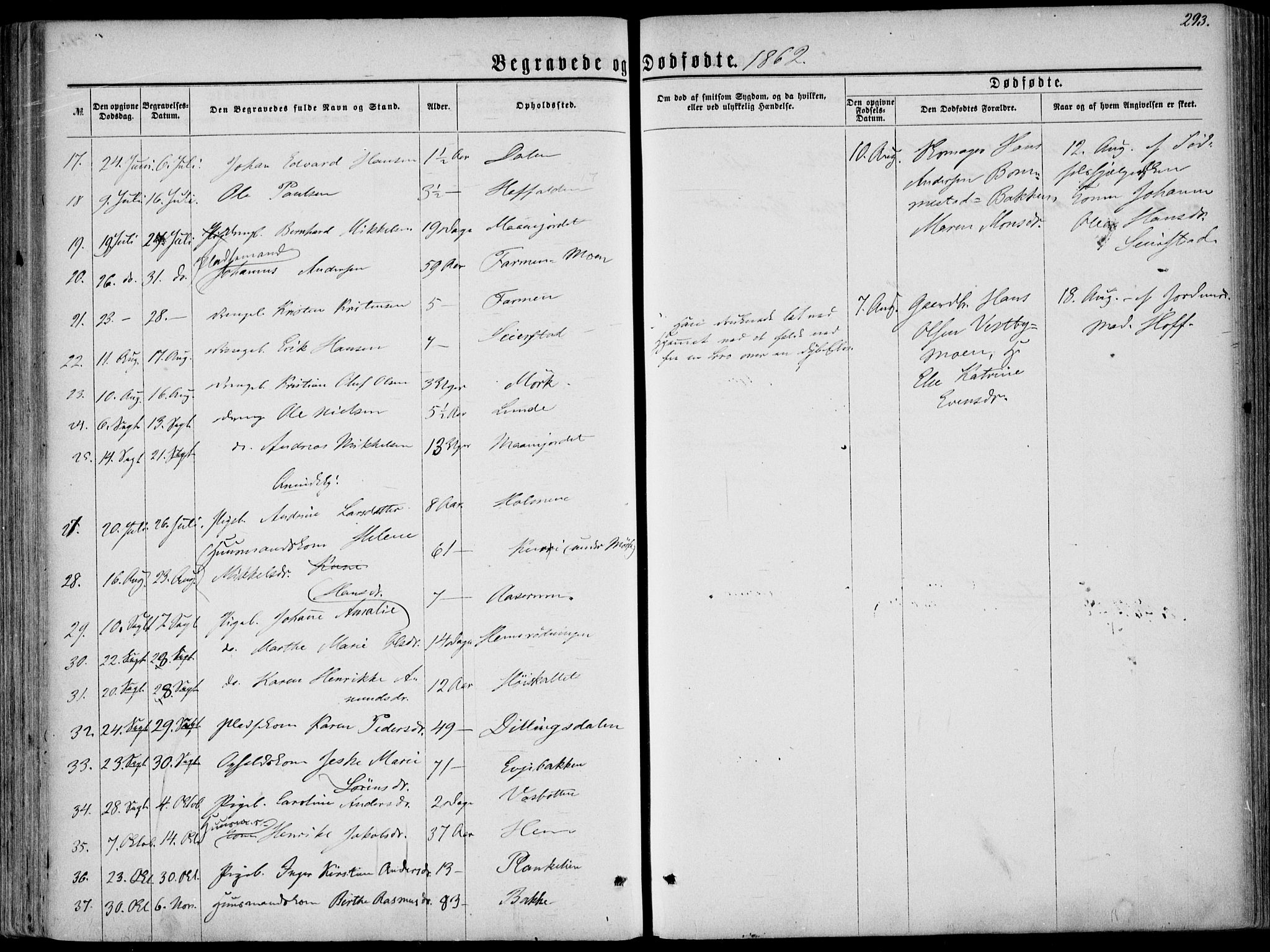 Hedrum kirkebøker, AV/SAKO-A-344/F/Fa/L0007: Parish register (official) no. I 7, 1857-1868, p. 293