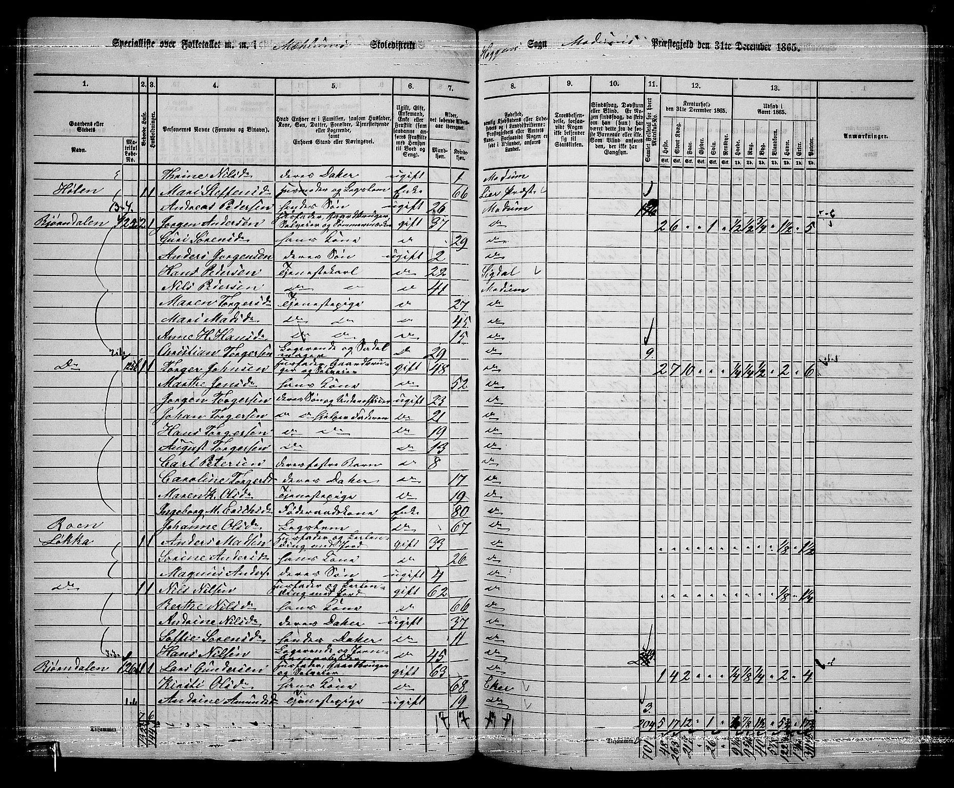 RA, 1865 census for Modum, 1865, p. 89