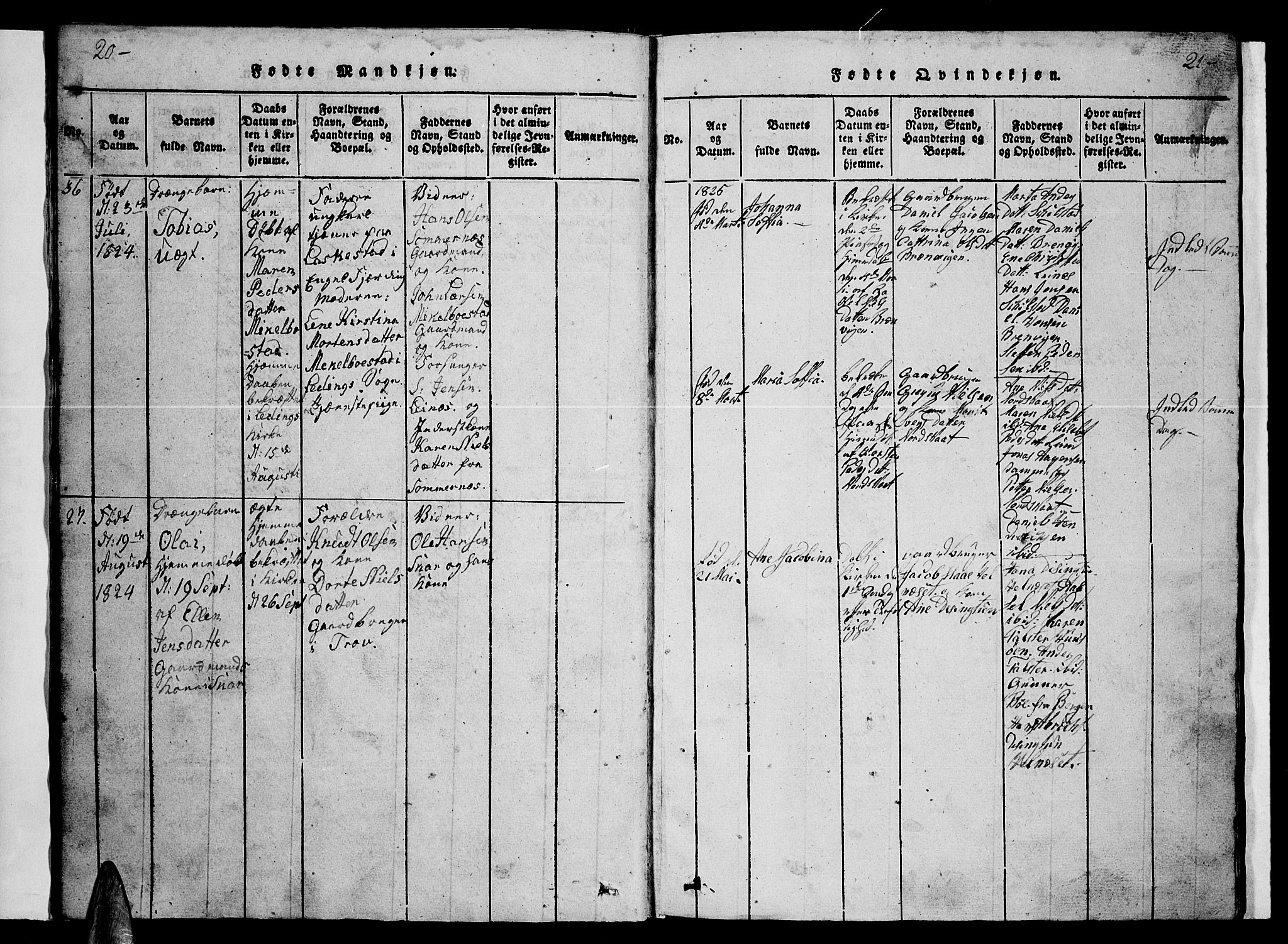 Ministerialprotokoller, klokkerbøker og fødselsregistre - Nordland, AV/SAT-A-1459/857/L0826: Parish register (copy) no. 857C01, 1821-1852, p. 20-21