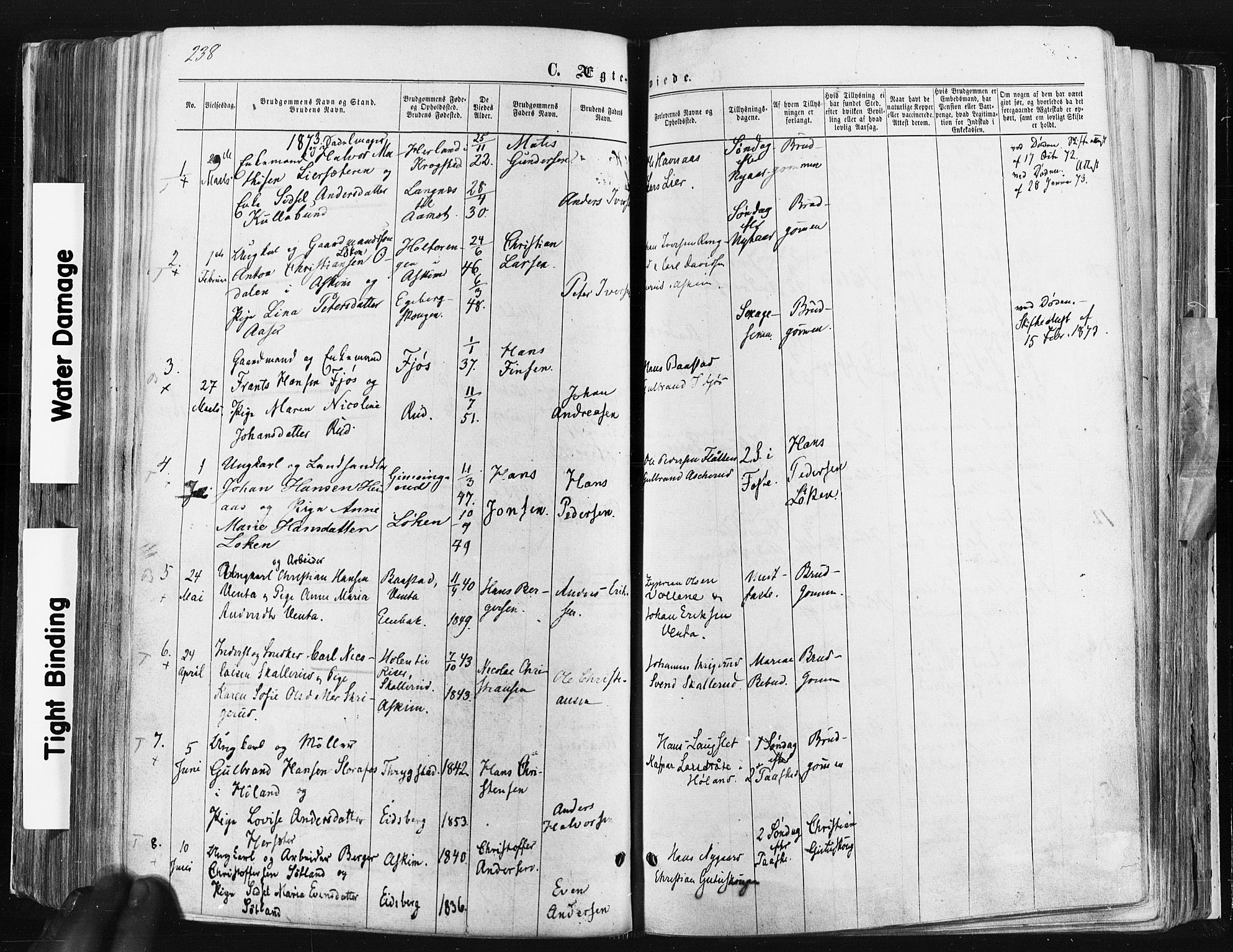 Trøgstad prestekontor Kirkebøker, SAO/A-10925/F/Fa/L0009: Parish register (official) no. I 9, 1865-1877, p. 238