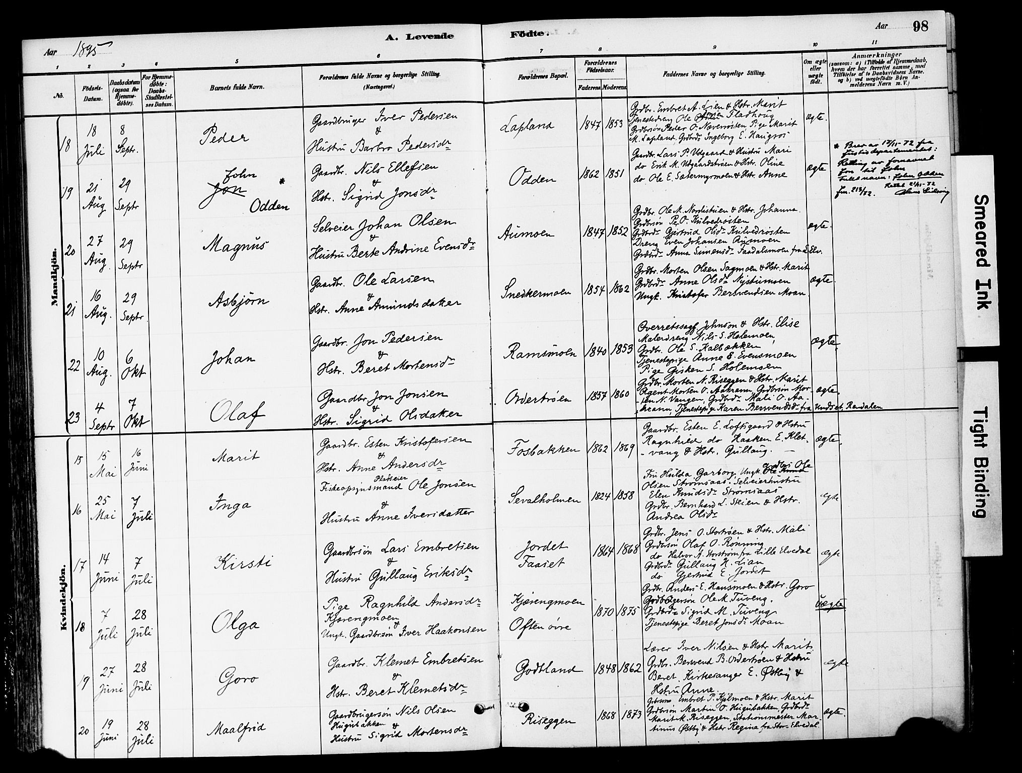 Tynset prestekontor, AV/SAH-PREST-058/H/Ha/Haa/L0022: Parish register (official) no. 22, 1880-1899, p. 98