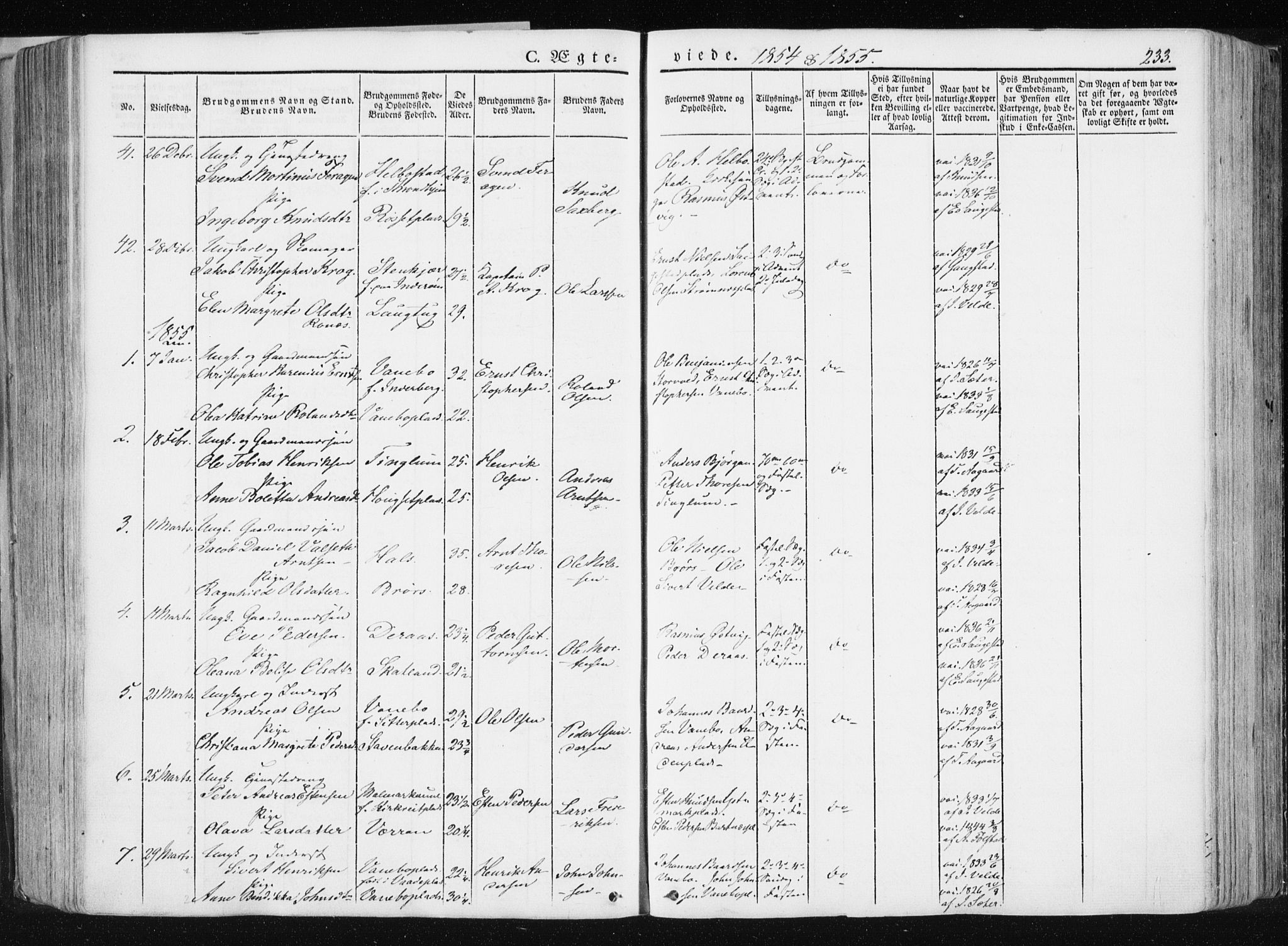 Ministerialprotokoller, klokkerbøker og fødselsregistre - Nord-Trøndelag, SAT/A-1458/741/L0393: Parish register (official) no. 741A07, 1849-1863, p. 233