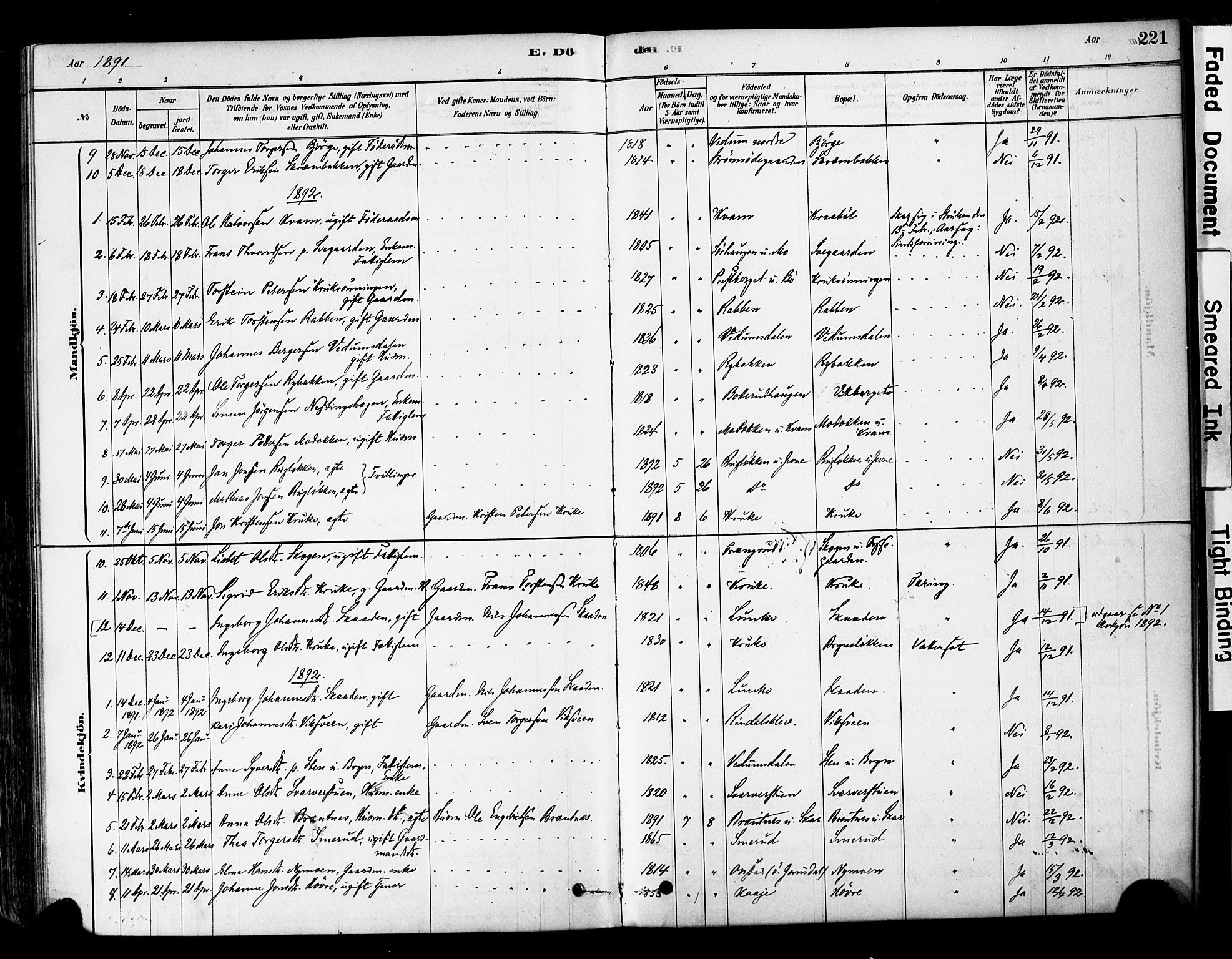 Øyer prestekontor, SAH/PREST-084/H/Ha/Haa/L0008: Parish register (official) no. 8, 1878-1897, p. 221