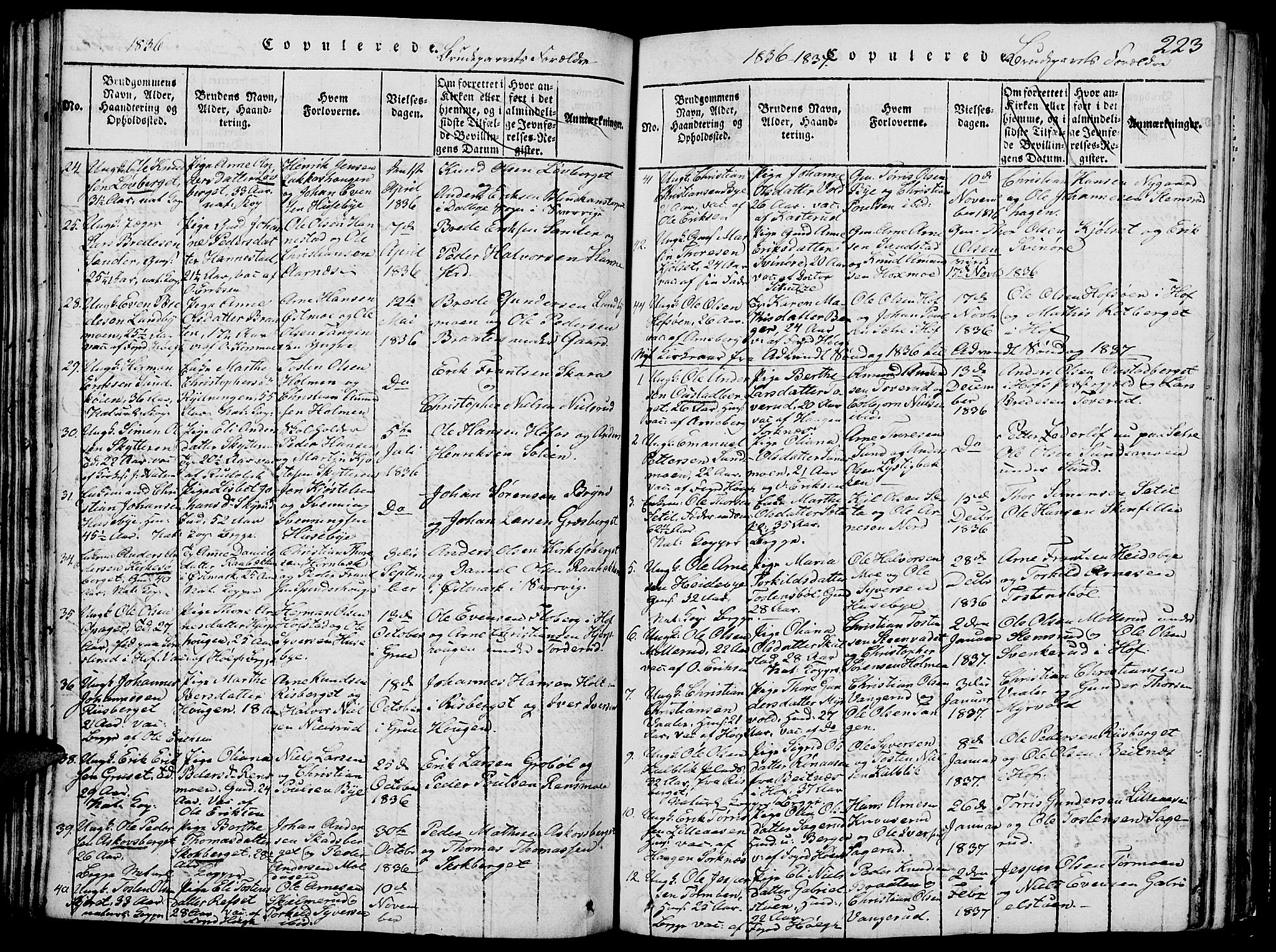 Grue prestekontor, SAH/PREST-036/H/Ha/Hab/L0002: Parish register (copy) no. 2, 1815-1841, p. 223