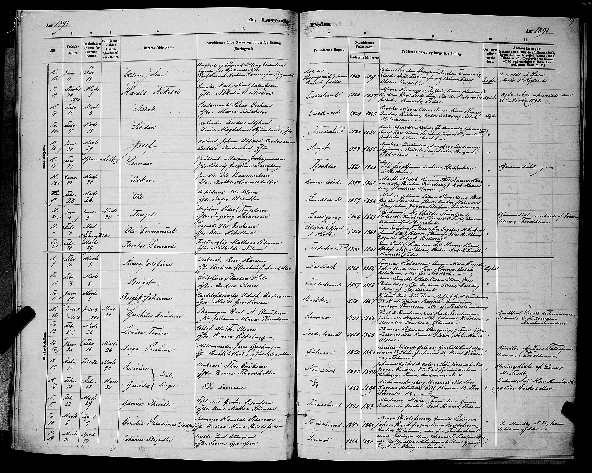 Holt sokneprestkontor, AV/SAK-1111-0021/F/Fb/L0010: Parish register (copy) no. B 10, 1883-1896, p. 87