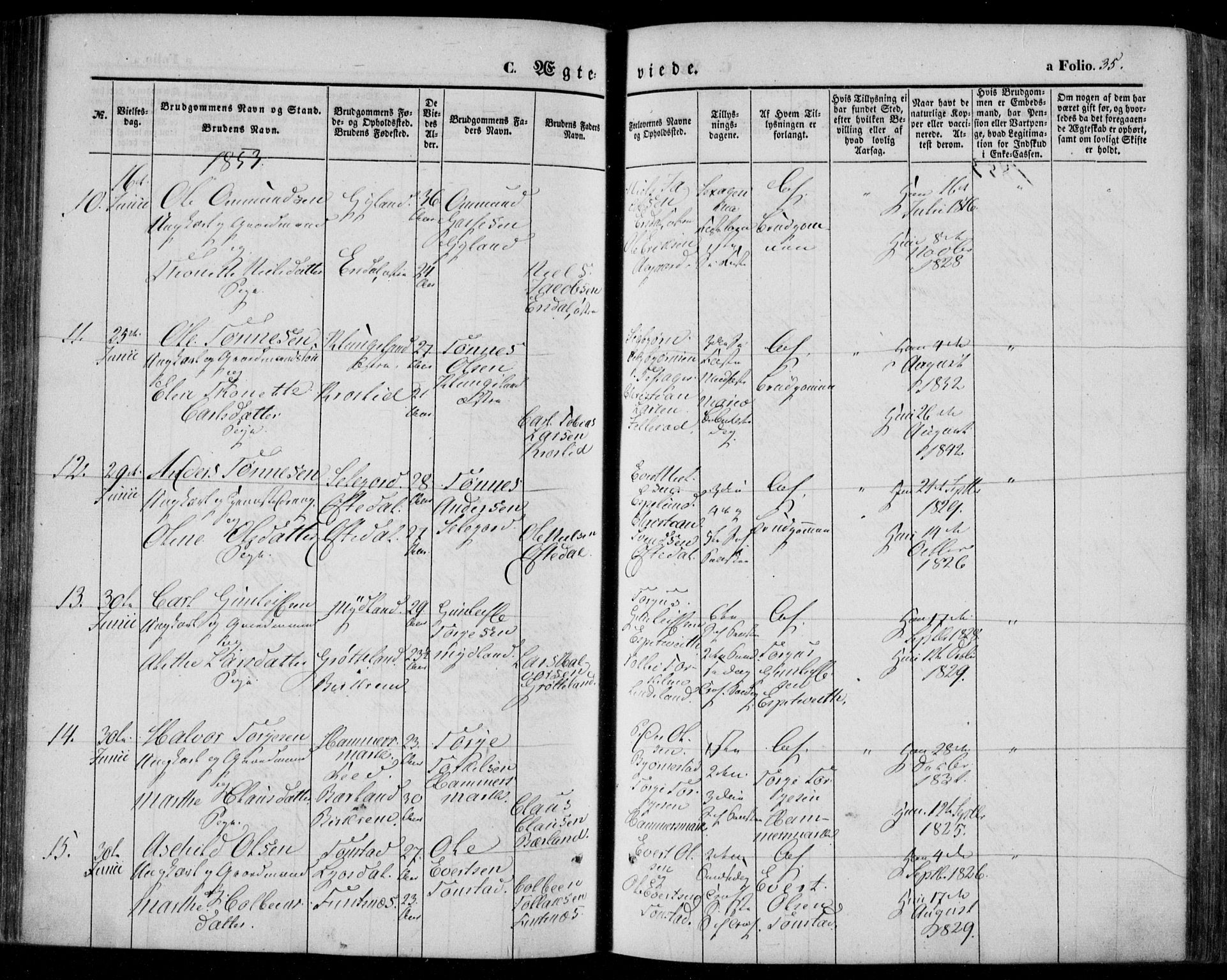 Bakke sokneprestkontor, AV/SAK-1111-0002/F/Fa/Faa/L0005: Parish register (official) no. A 5, 1847-1855, p. 35