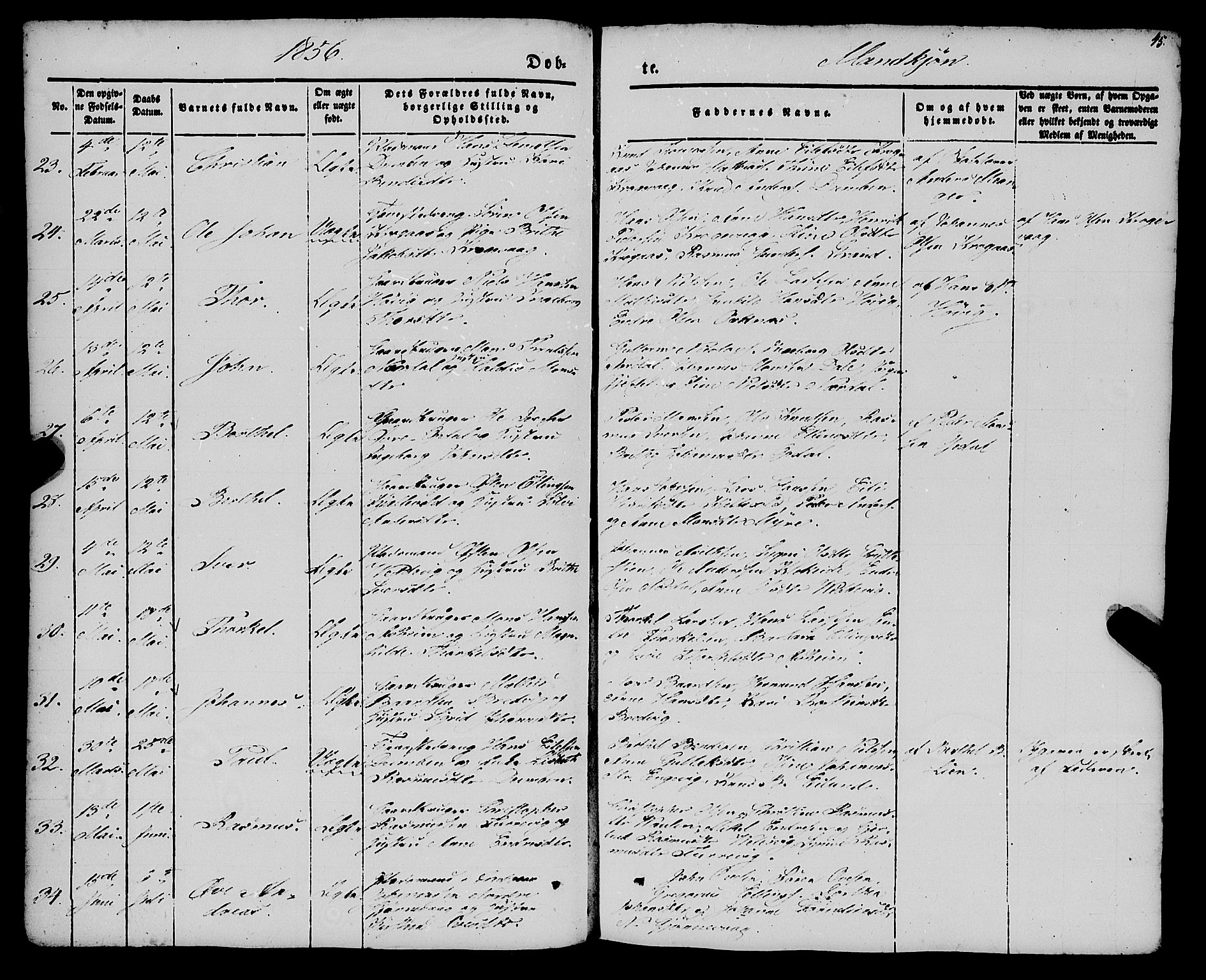 Gulen sokneprestembete, SAB/A-80201/H/Haa/Haaa/L0021: Parish register (official) no. A 21, 1848-1858, p. 45