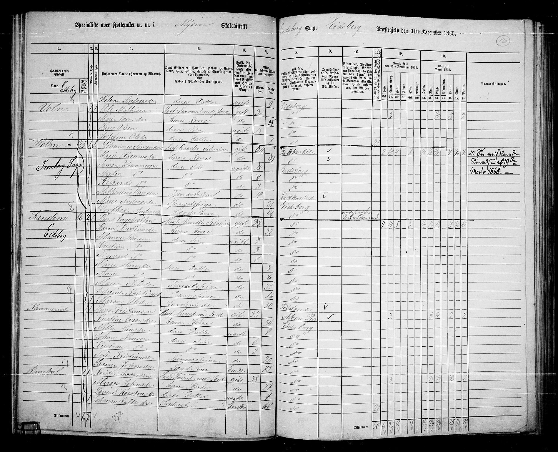 RA, 1865 census for Eidsberg, 1865, p. 107