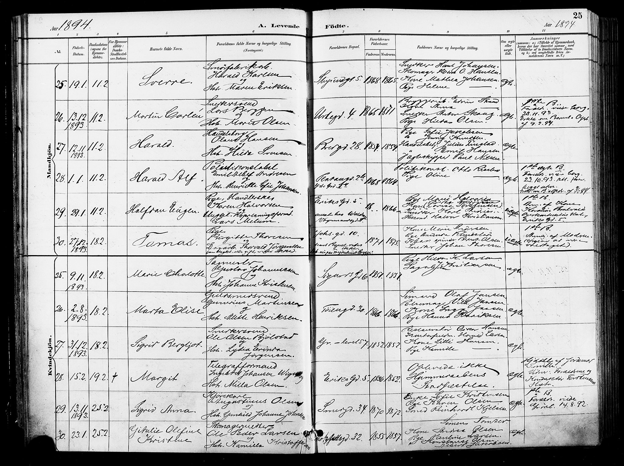 Grønland prestekontor Kirkebøker, SAO/A-10848/F/Fa/L0012: Parish register (official) no. 12, 1893-1900, p. 25