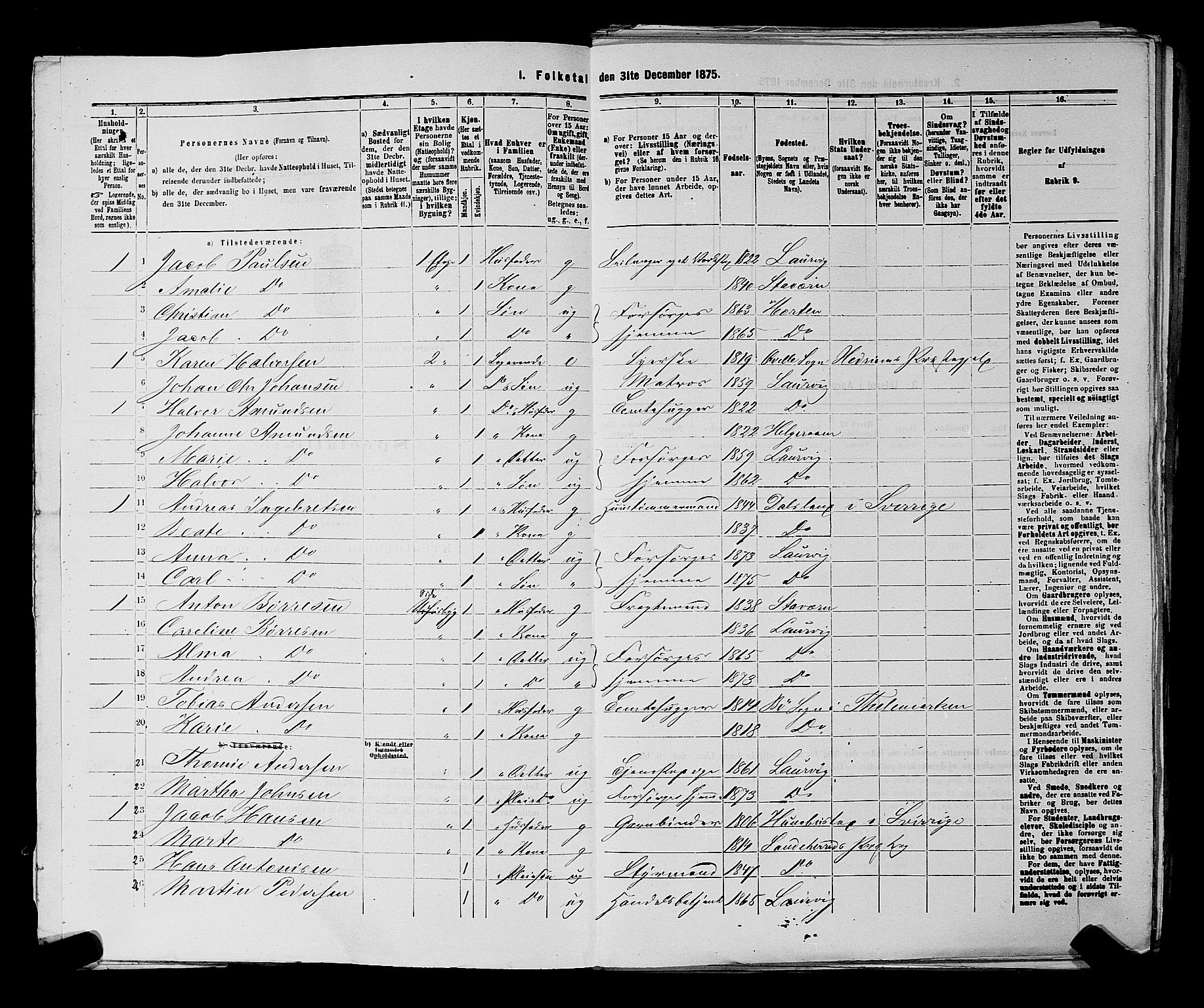 SAKO, 1875 census for 0707P Larvik, 1875, p. 41