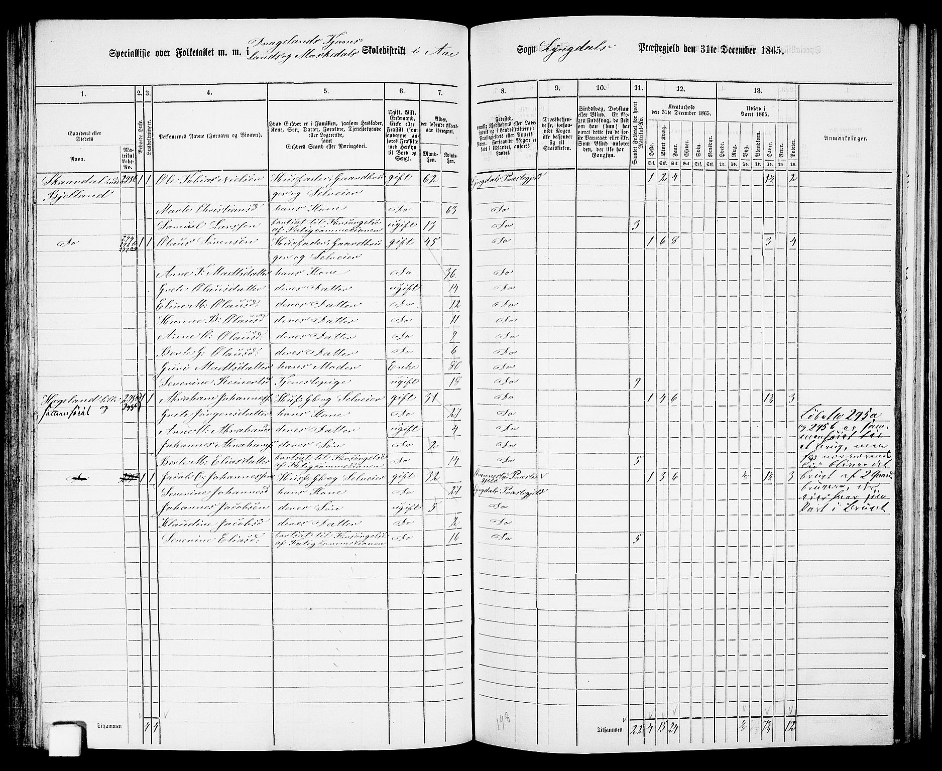 RA, 1865 census for Lyngdal, 1865, p. 136