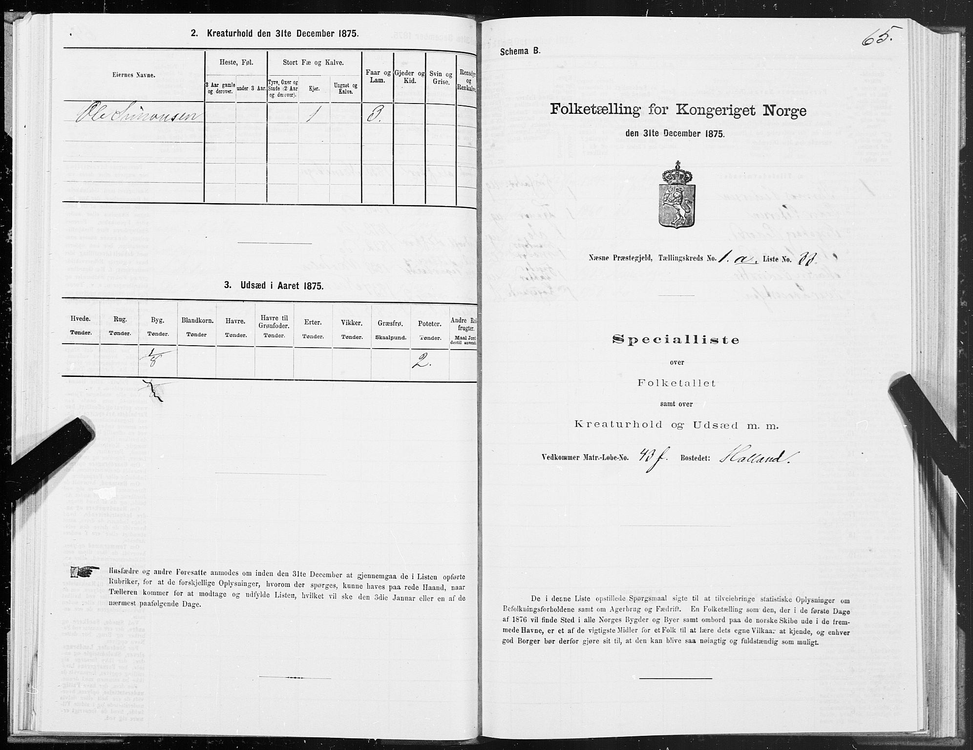 SAT, 1875 census for 1828P Nesna, 1875, p. 1065