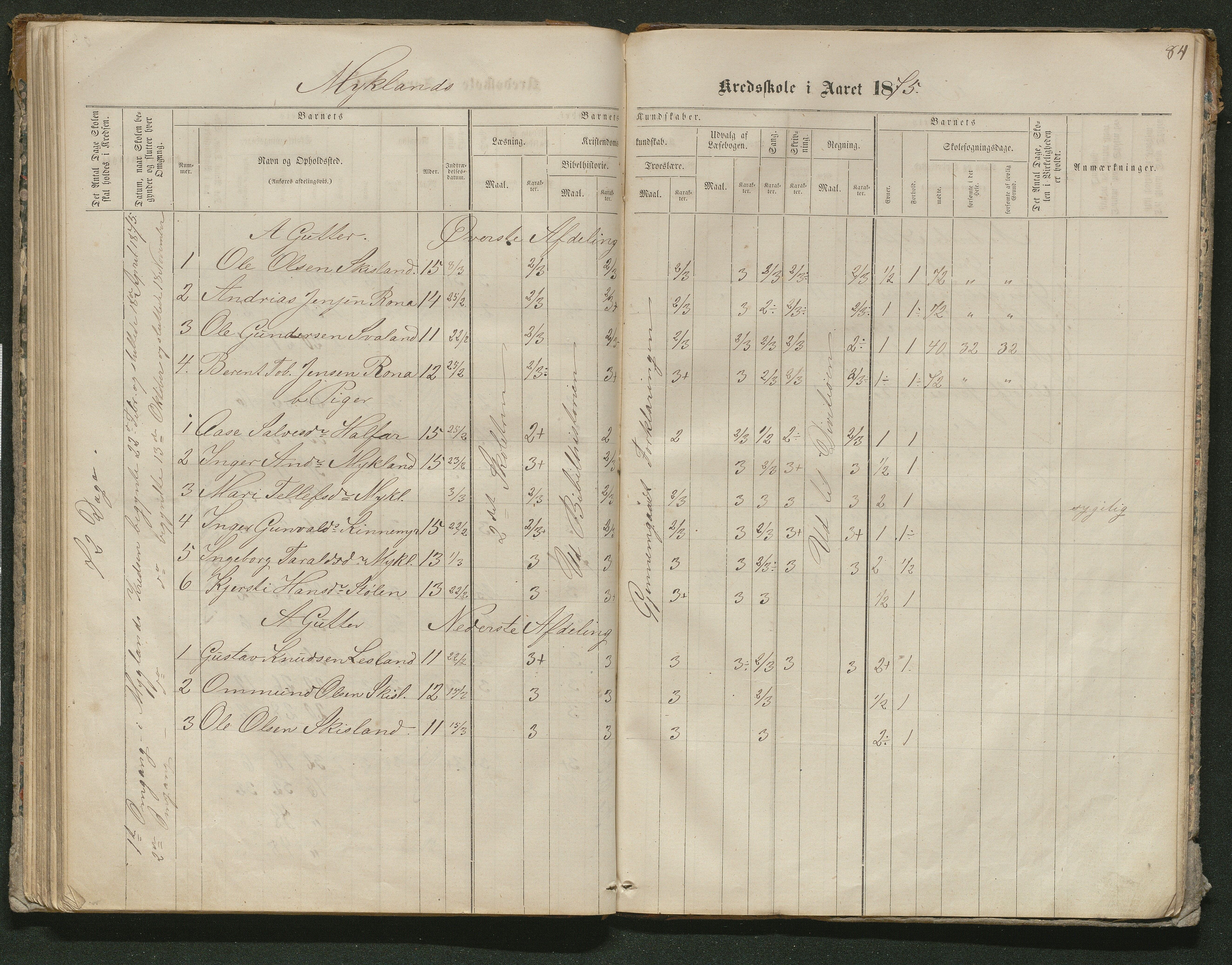 Iveland kommune, De enkelte kretsene/Skolene, AAKS/KA0935-550/A_10/L0005: Skoleprotokoll for Frøyså og Mykland krets, 1864-1881, p. 84