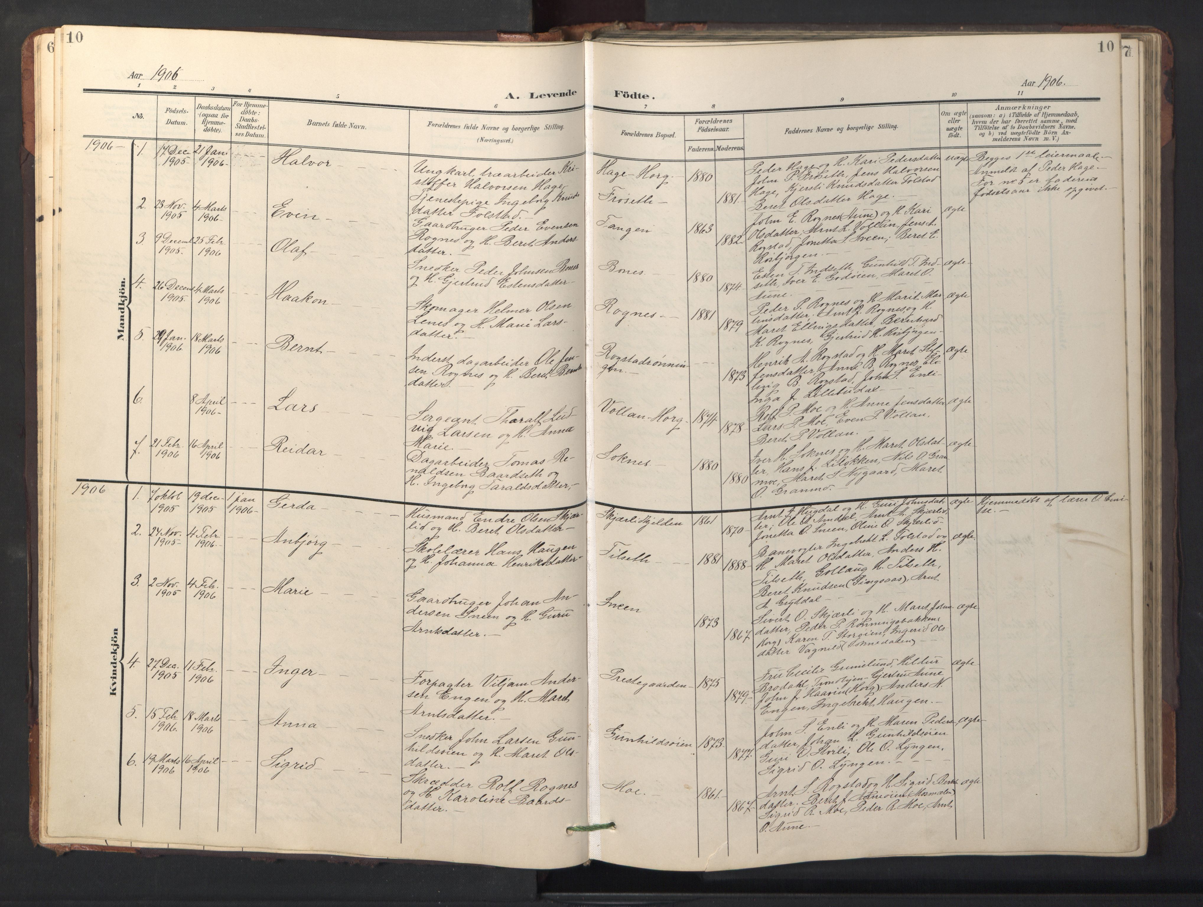 Ministerialprotokoller, klokkerbøker og fødselsregistre - Sør-Trøndelag, SAT/A-1456/687/L1019: Parish register (copy) no. 687C03, 1904-1931, p. 10