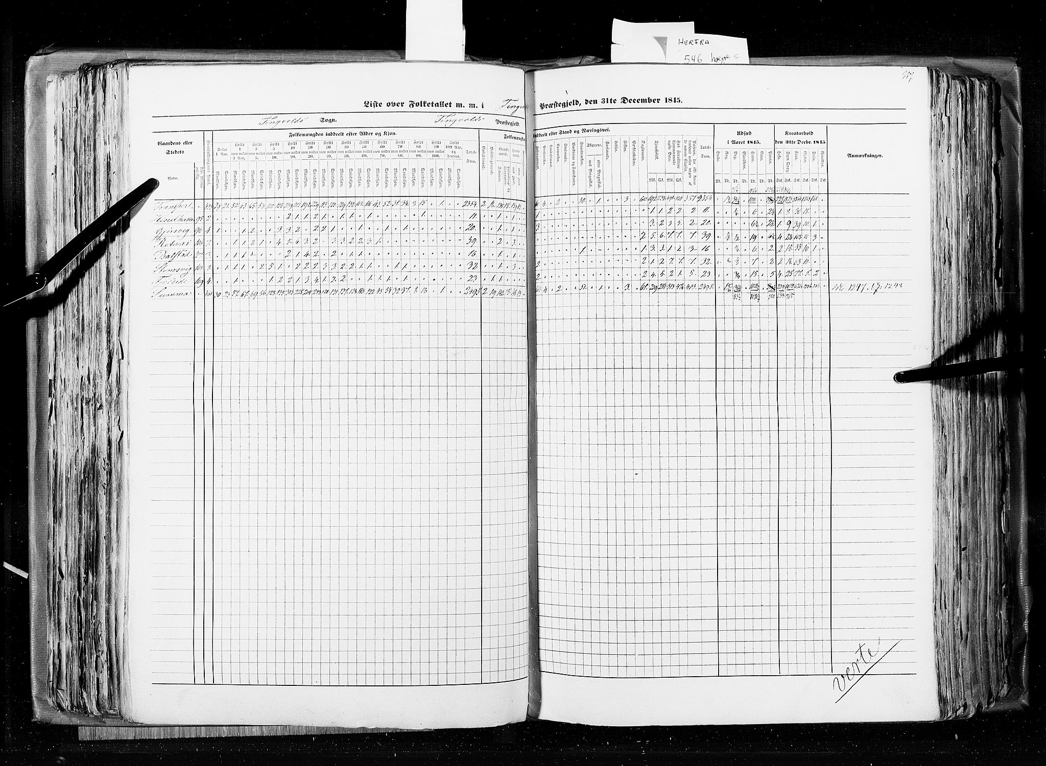 RA, Census 1845, vol. 8: Romsdal amt og Søndre Trondhjems amt, 1845, p. 217