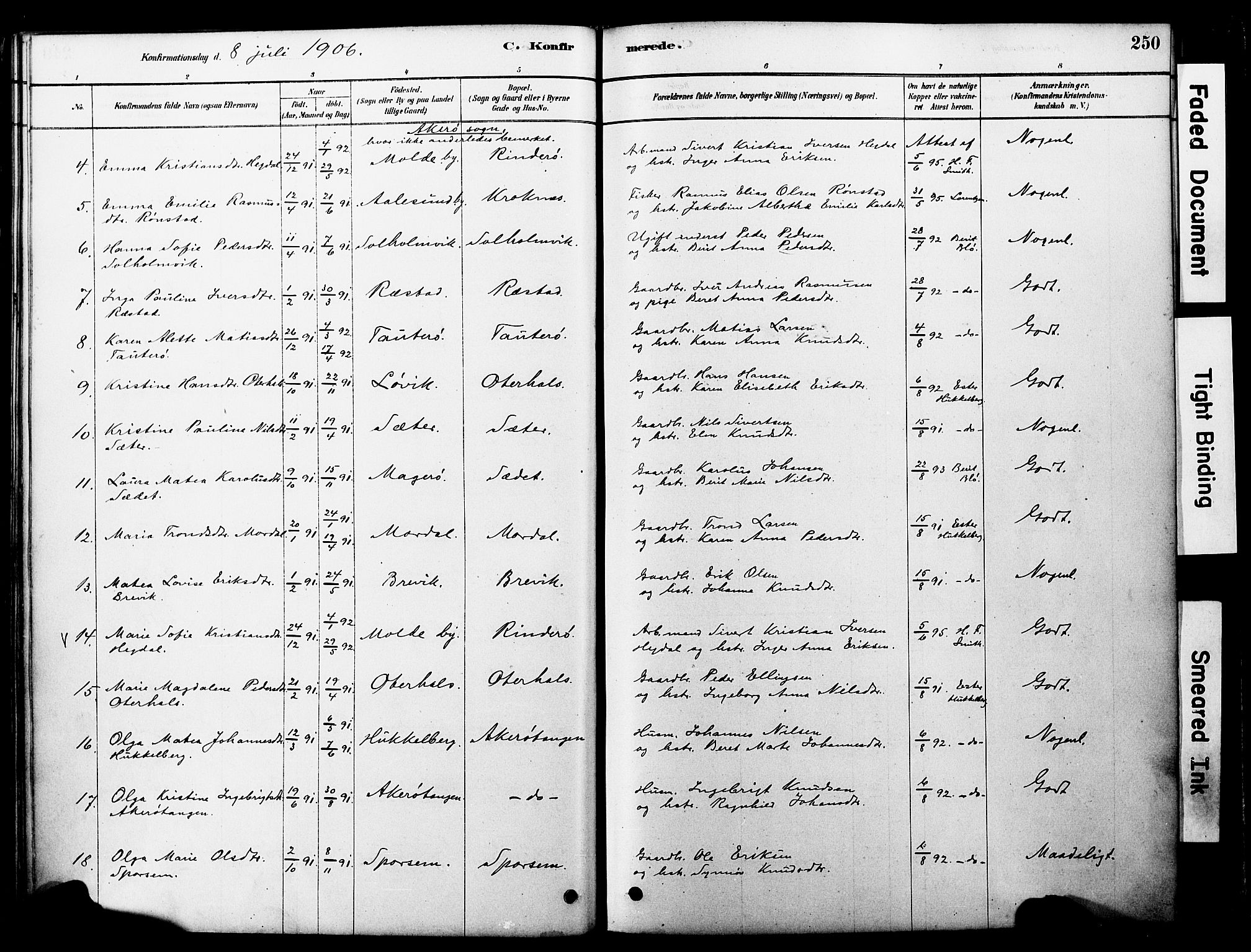 Ministerialprotokoller, klokkerbøker og fødselsregistre - Møre og Romsdal, SAT/A-1454/560/L0721: Parish register (official) no. 560A05, 1878-1917, p. 250