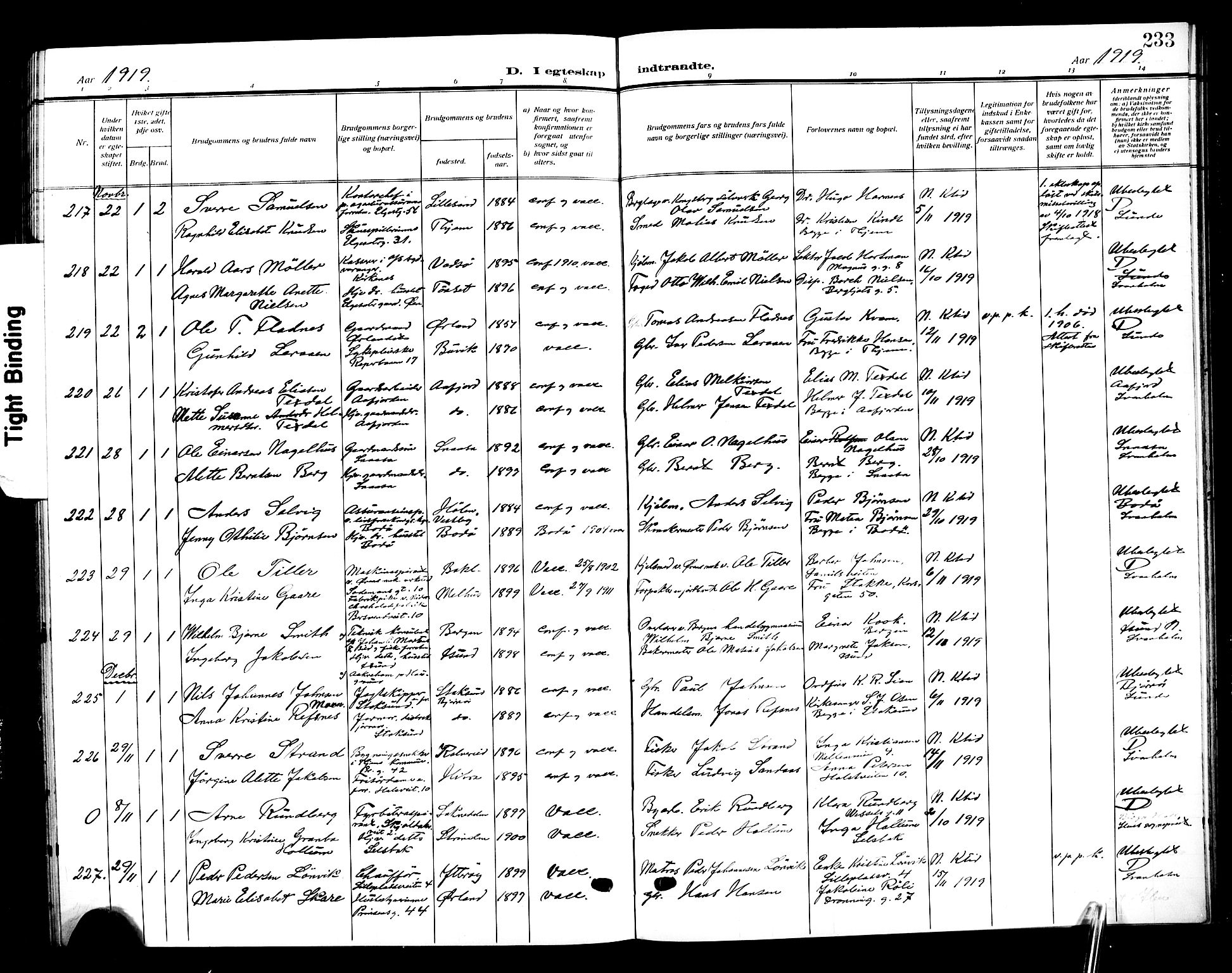 Ministerialprotokoller, klokkerbøker og fødselsregistre - Sør-Trøndelag, SAT/A-1456/601/L0097: Parish register (copy) no. 601C15, 1911-1921, p. 233