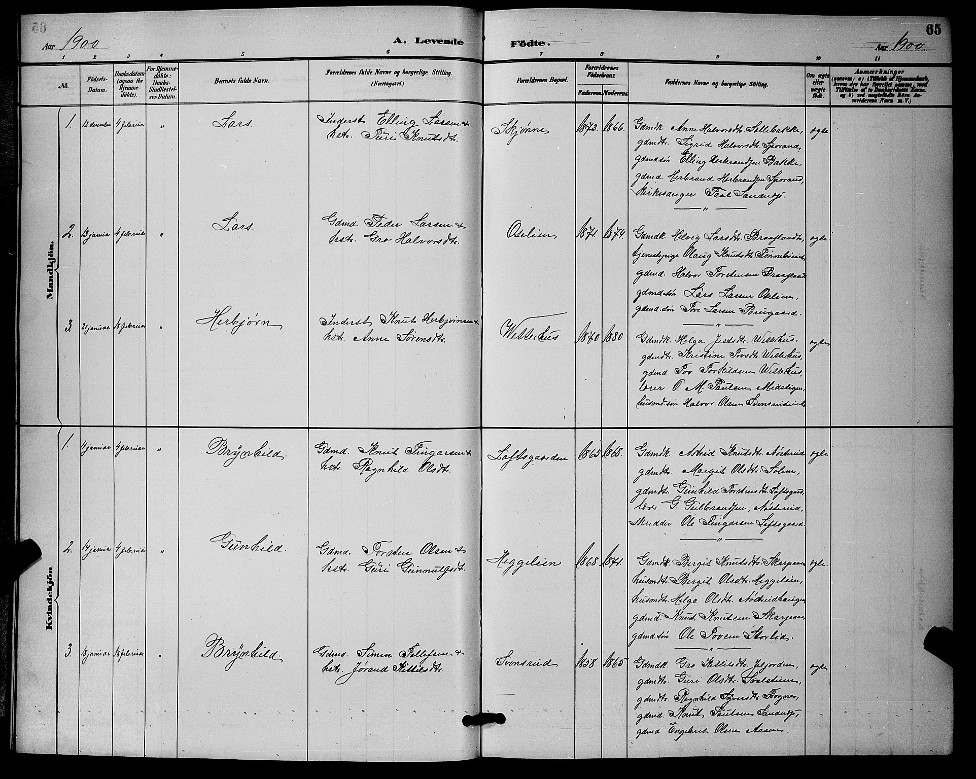 Nore kirkebøker, SAKO/A-238/G/Ga/L0003: Parish register (copy) no. I 3, 1886-1903, p. 65