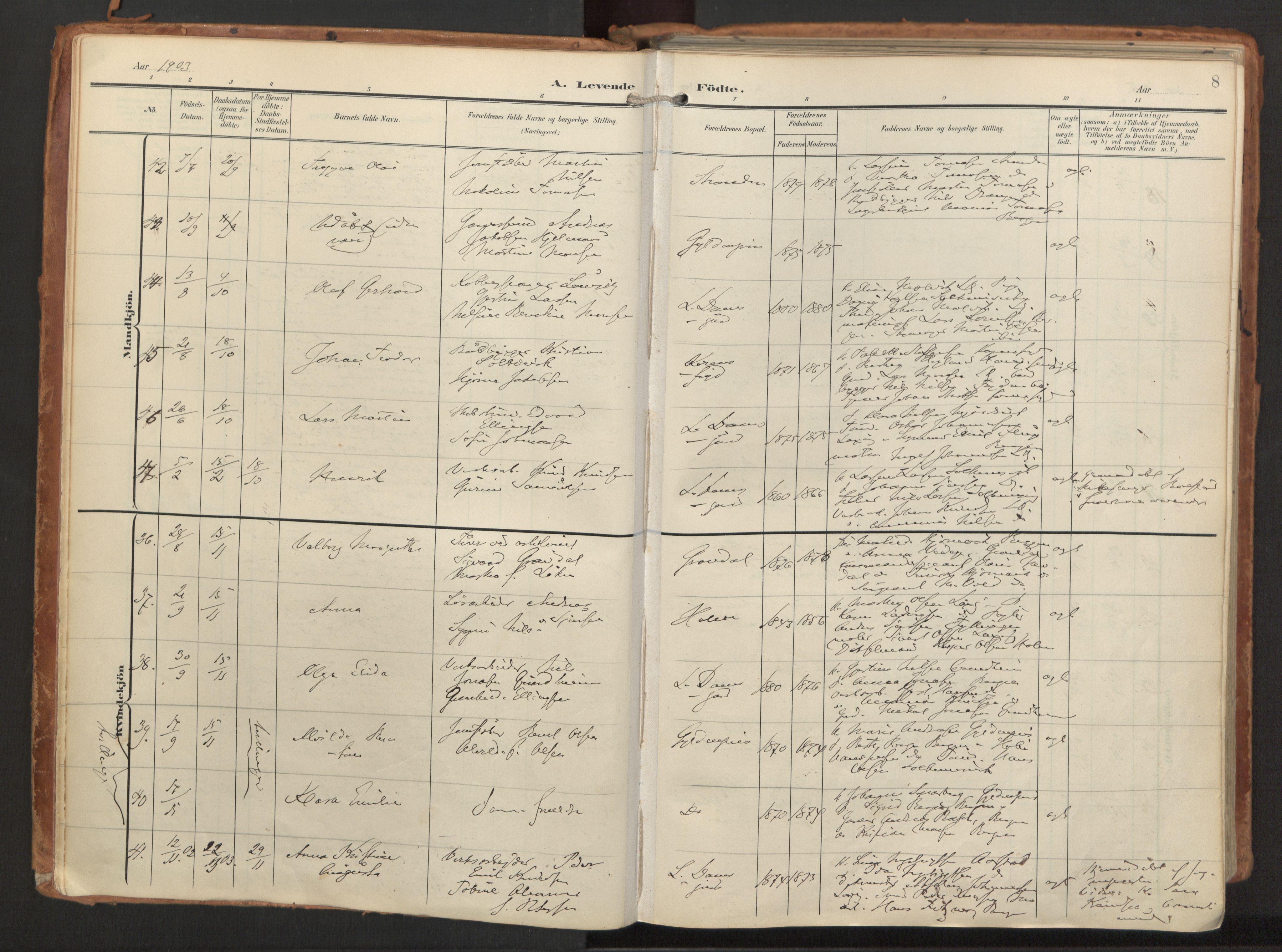 Laksevåg Sokneprestembete, AV/SAB-A-76501/H/Ha/Haa/Haaa/L0001: Parish register (official) no. A 1, 1903-1917, p. 8