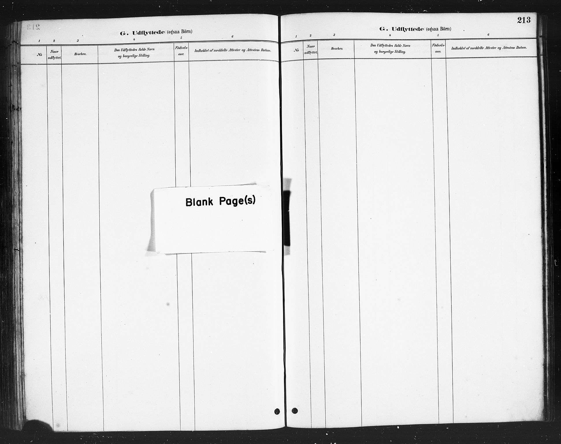 Ministerialprotokoller, klokkerbøker og fødselsregistre - Nordland, AV/SAT-A-1459/808/L0131: Parish register (copy) no. 808C02, 1879-1919, p. 213