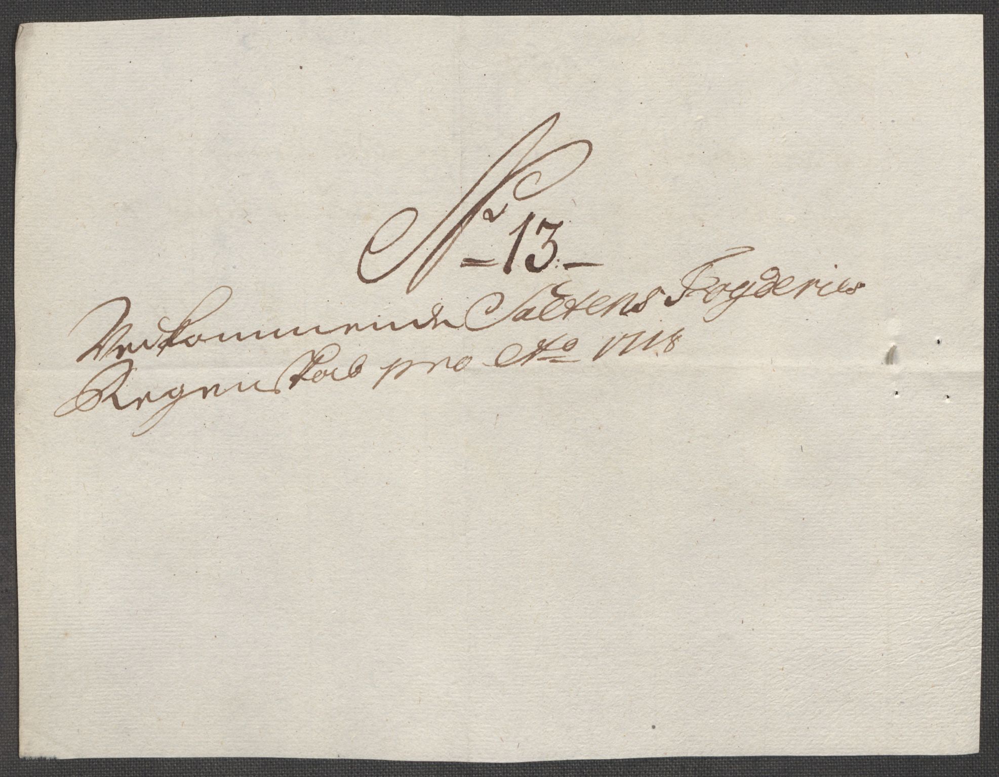 Rentekammeret inntil 1814, Reviderte regnskaper, Fogderegnskap, AV/RA-EA-4092/R66/L4588: Fogderegnskap Salten, 1718, p. 160