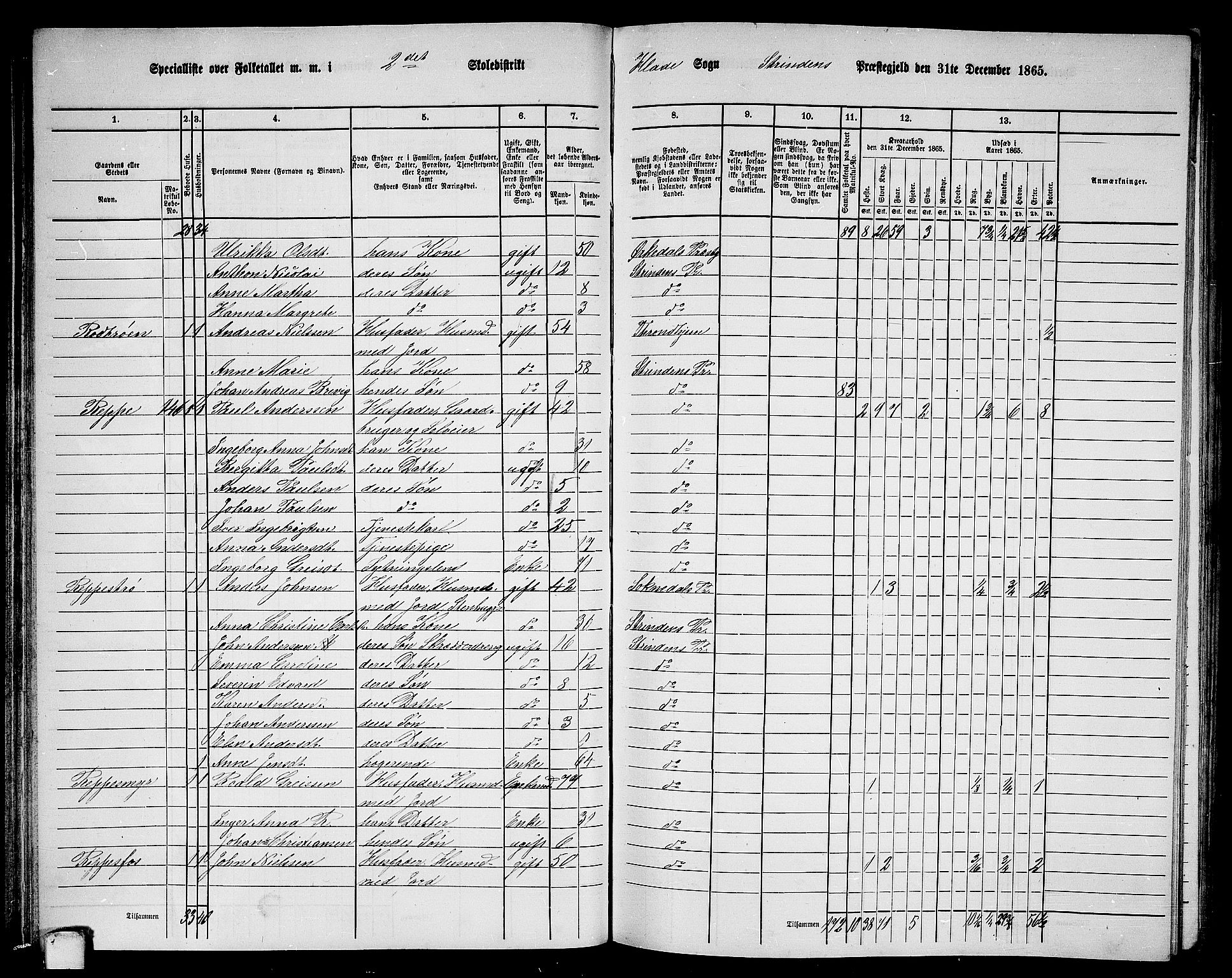 RA, 1865 census for Strinda, 1865, p. 65