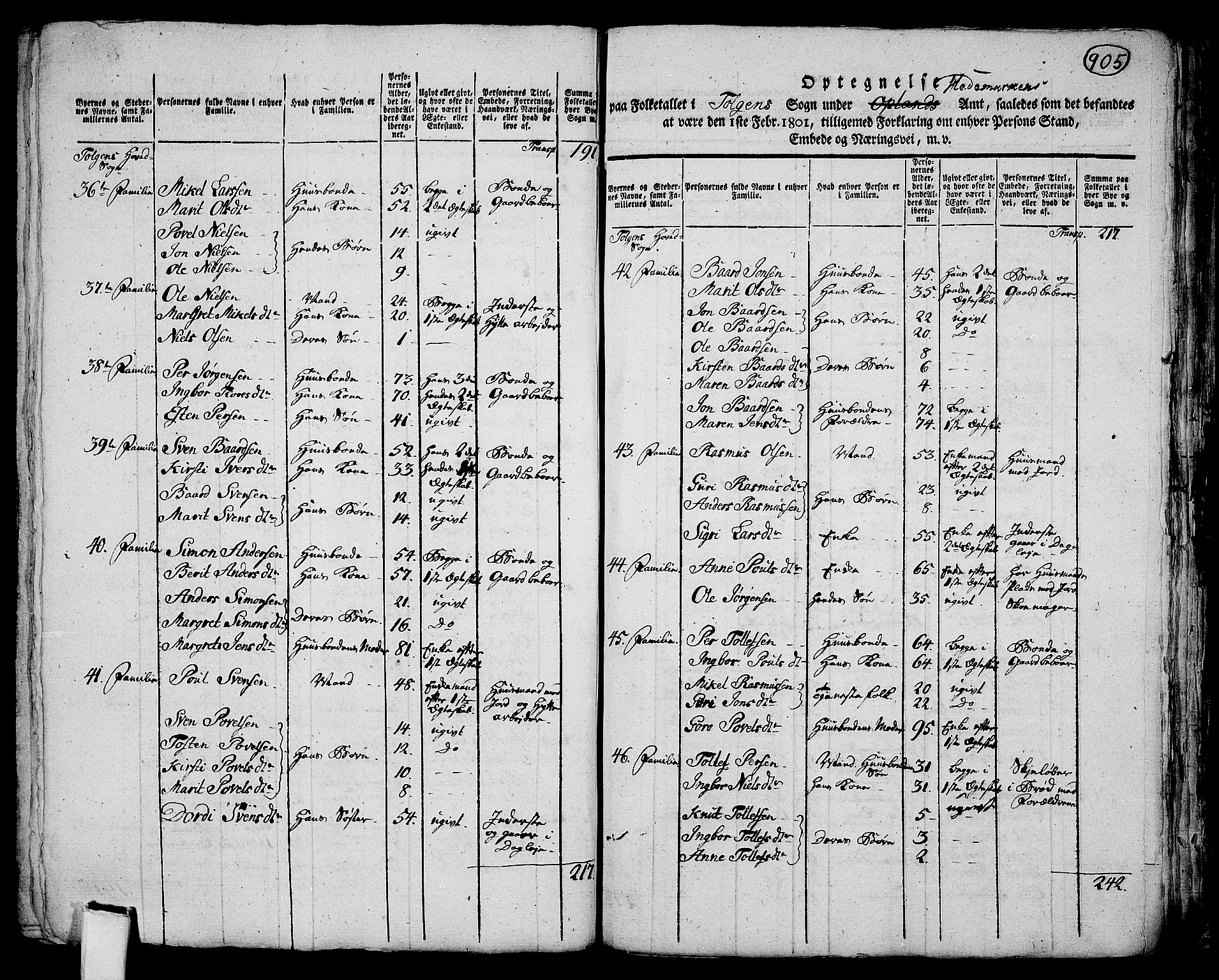 RA, 1801 census for 0436P Tolga, 1801, p. 904b-905a