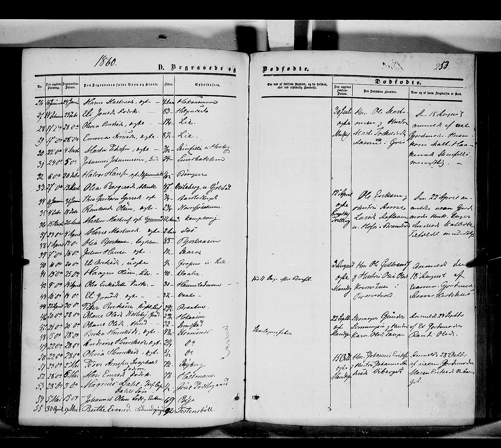 Grue prestekontor, AV/SAH-PREST-036/H/Ha/Haa/L0009: Parish register (official) no. 9, 1859-1863, p. 253