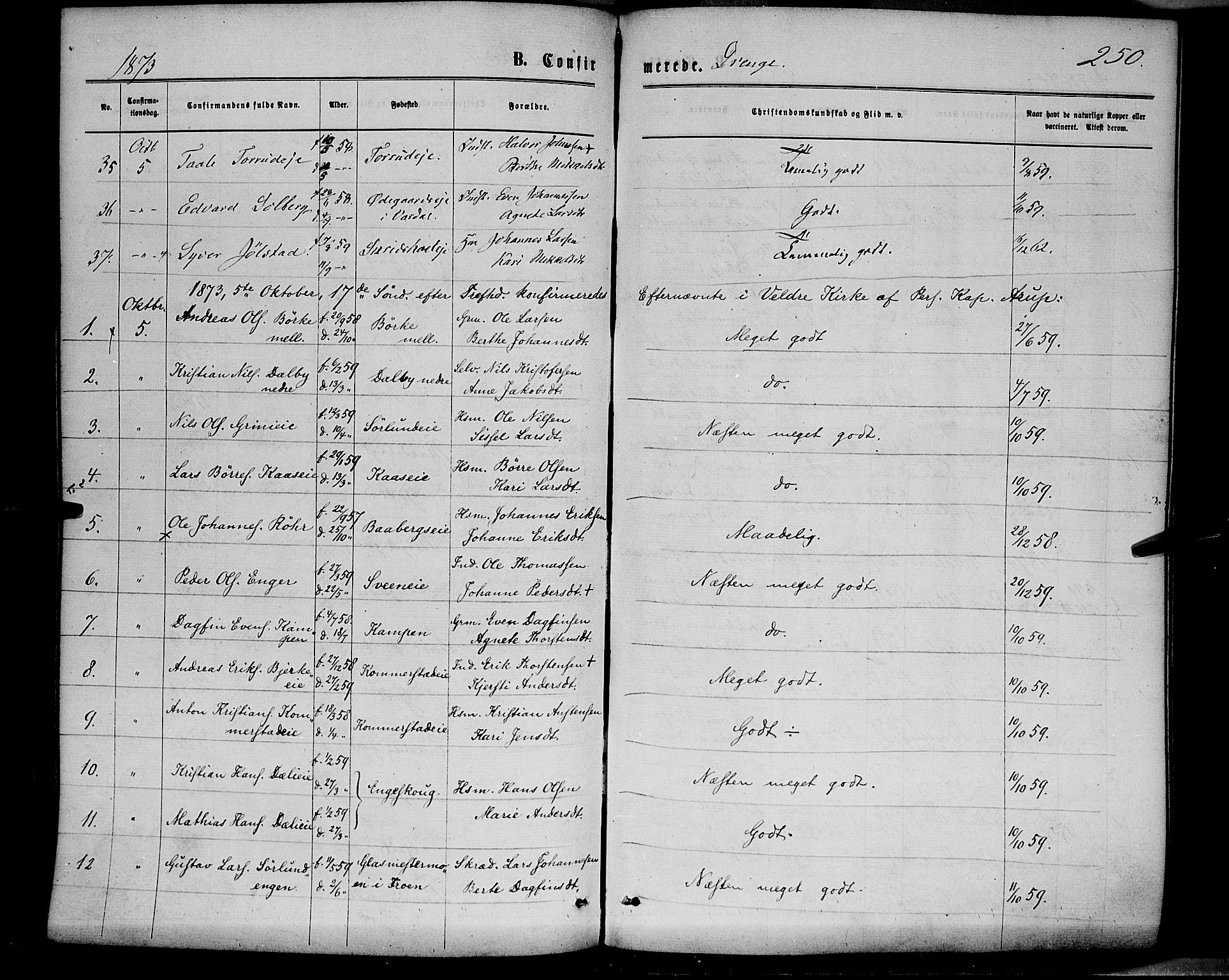 Ringsaker prestekontor, AV/SAH-PREST-014/K/Ka/L0011: Parish register (official) no. 11, 1870-1878, p. 250