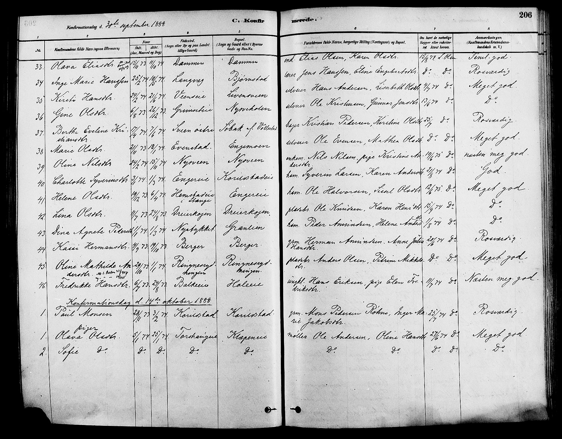 Løten prestekontor, AV/SAH-PREST-022/K/Ka/L0009: Parish register (official) no. 9, 1878-1891, p. 206