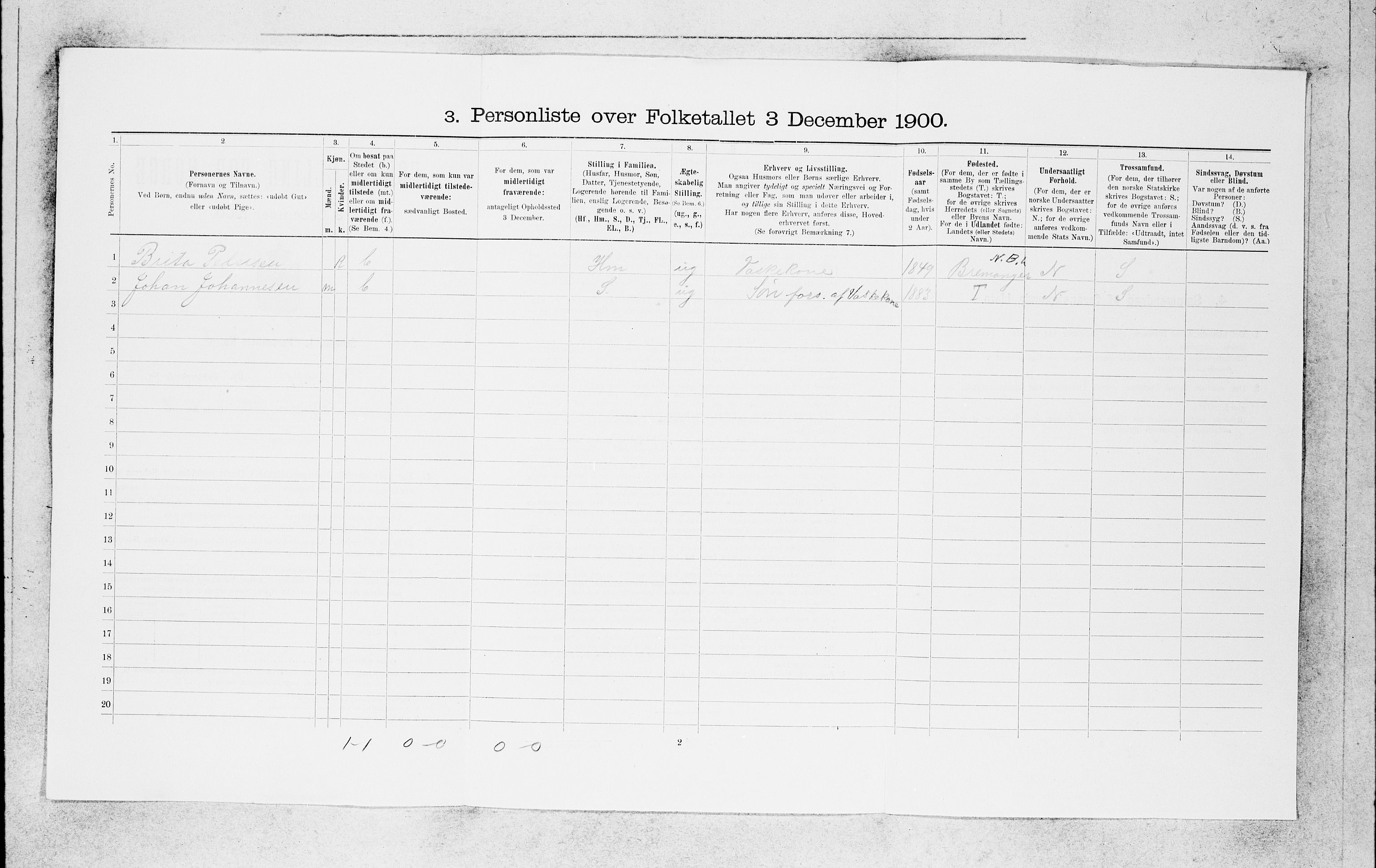 SAB, 1900 census for Bergen, 1900, p. 2940