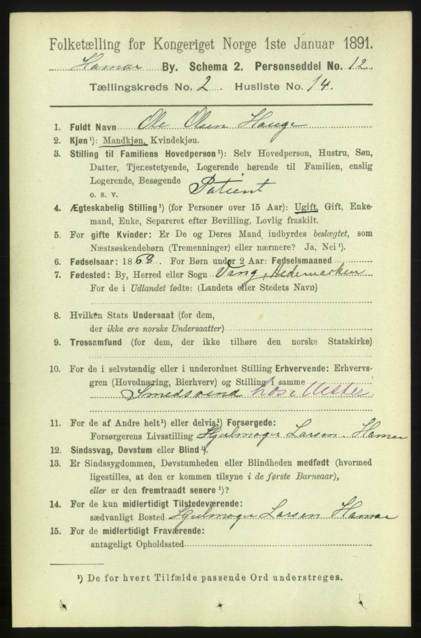 RA, 1891 census for 0401 Hamar, 1891, p. 1188