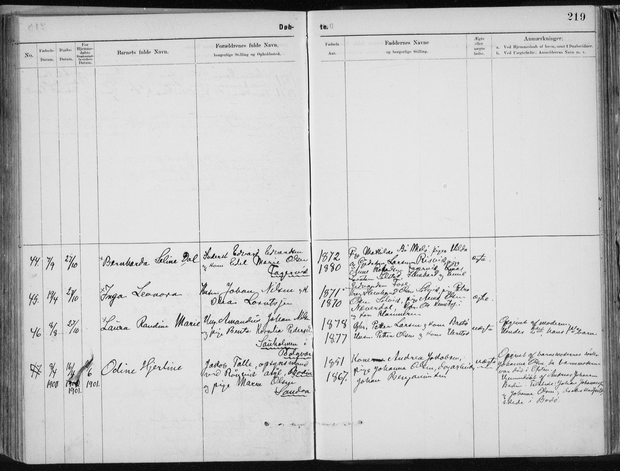 Ministerialprotokoller, klokkerbøker og fødselsregistre - Nordland, SAT/A-1459/843/L0636: Parish register (copy) no. 843C05, 1884-1909, p. 219